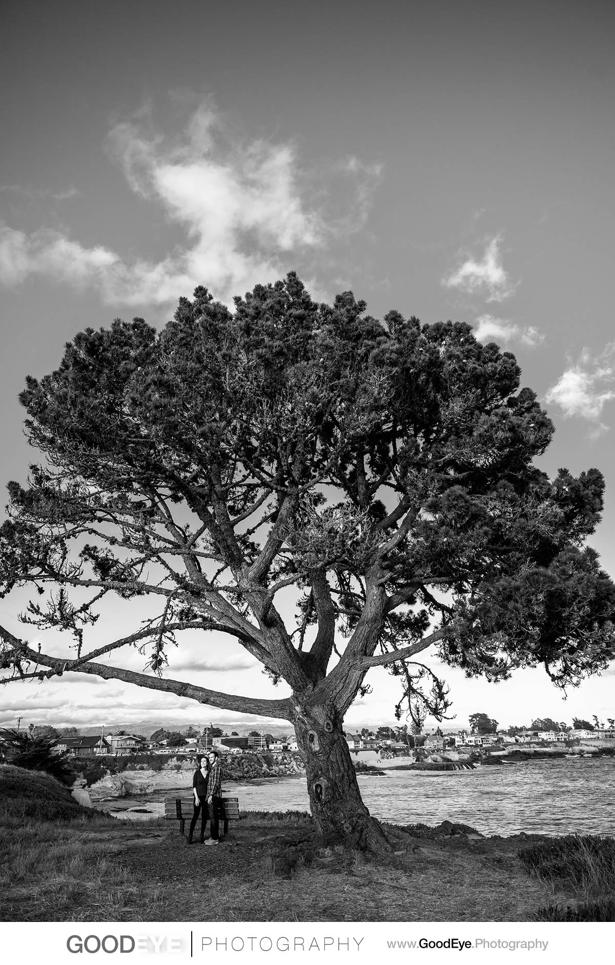 Santa Cruz Engagement Photographer - Steve and Jessica - West Cl