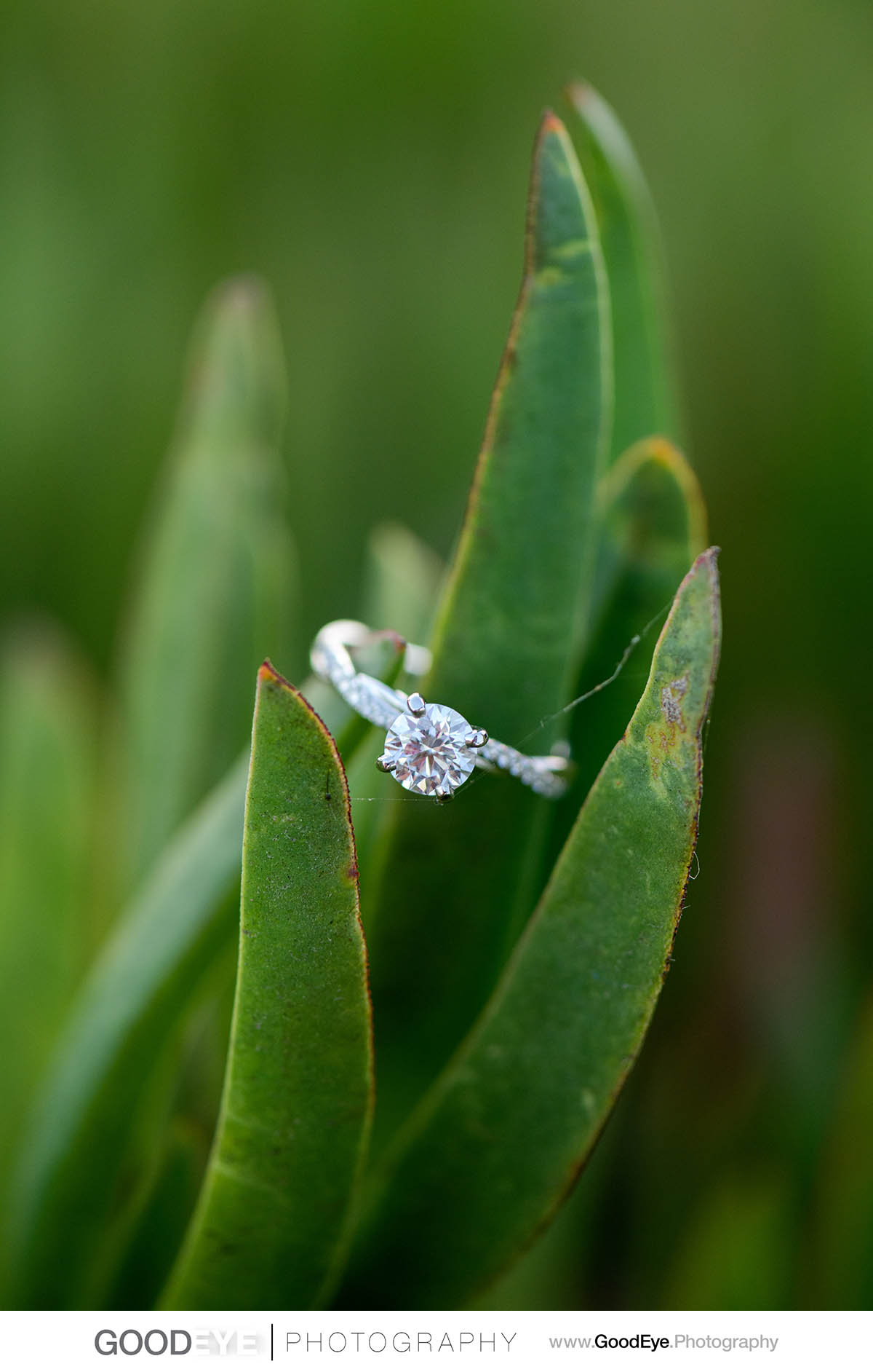 Santa Cruz Engagement Photographer - Steve and Jessica - West Cl