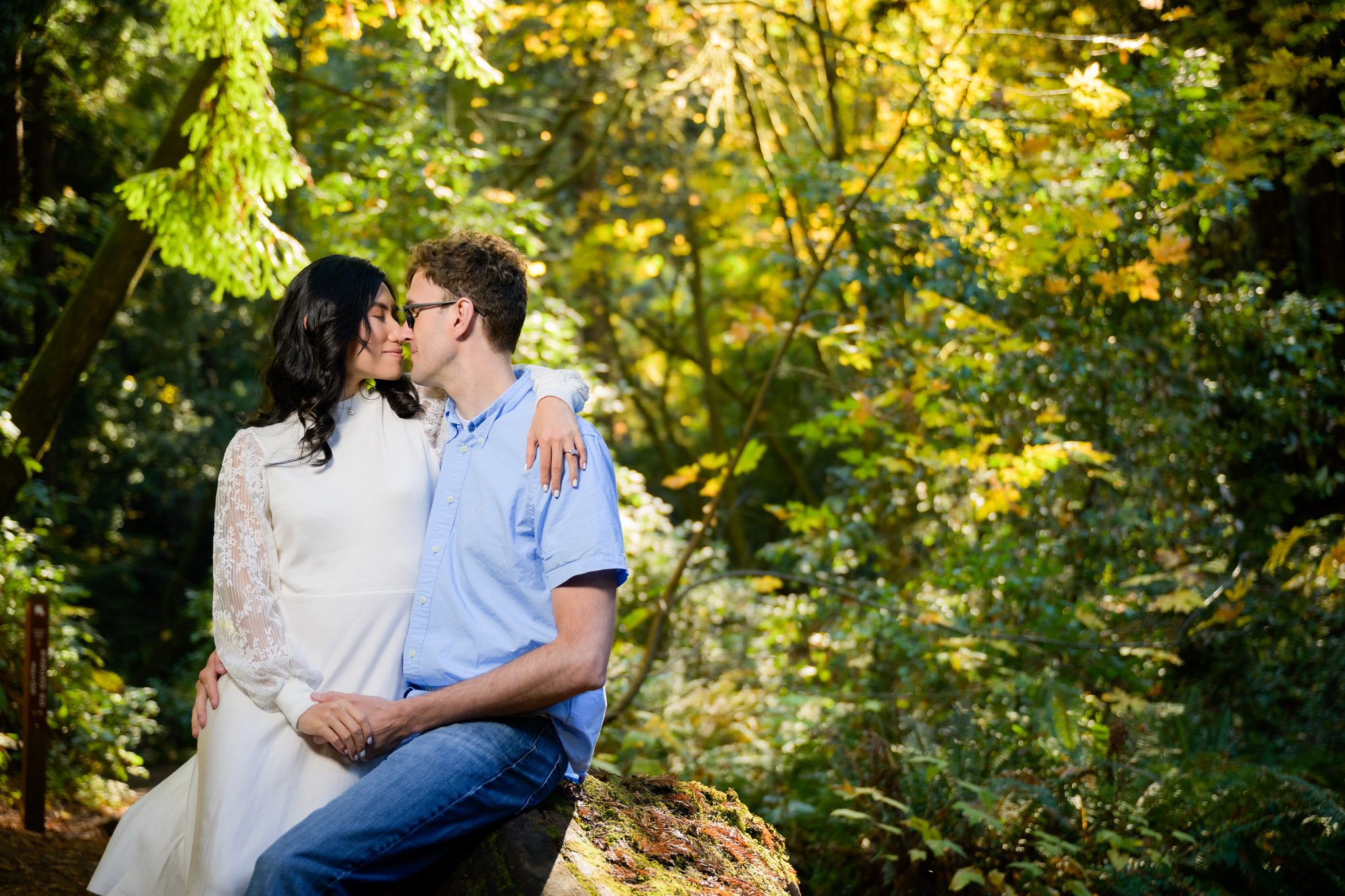 Redwoods engagement session at nisene marks in aptos, ca