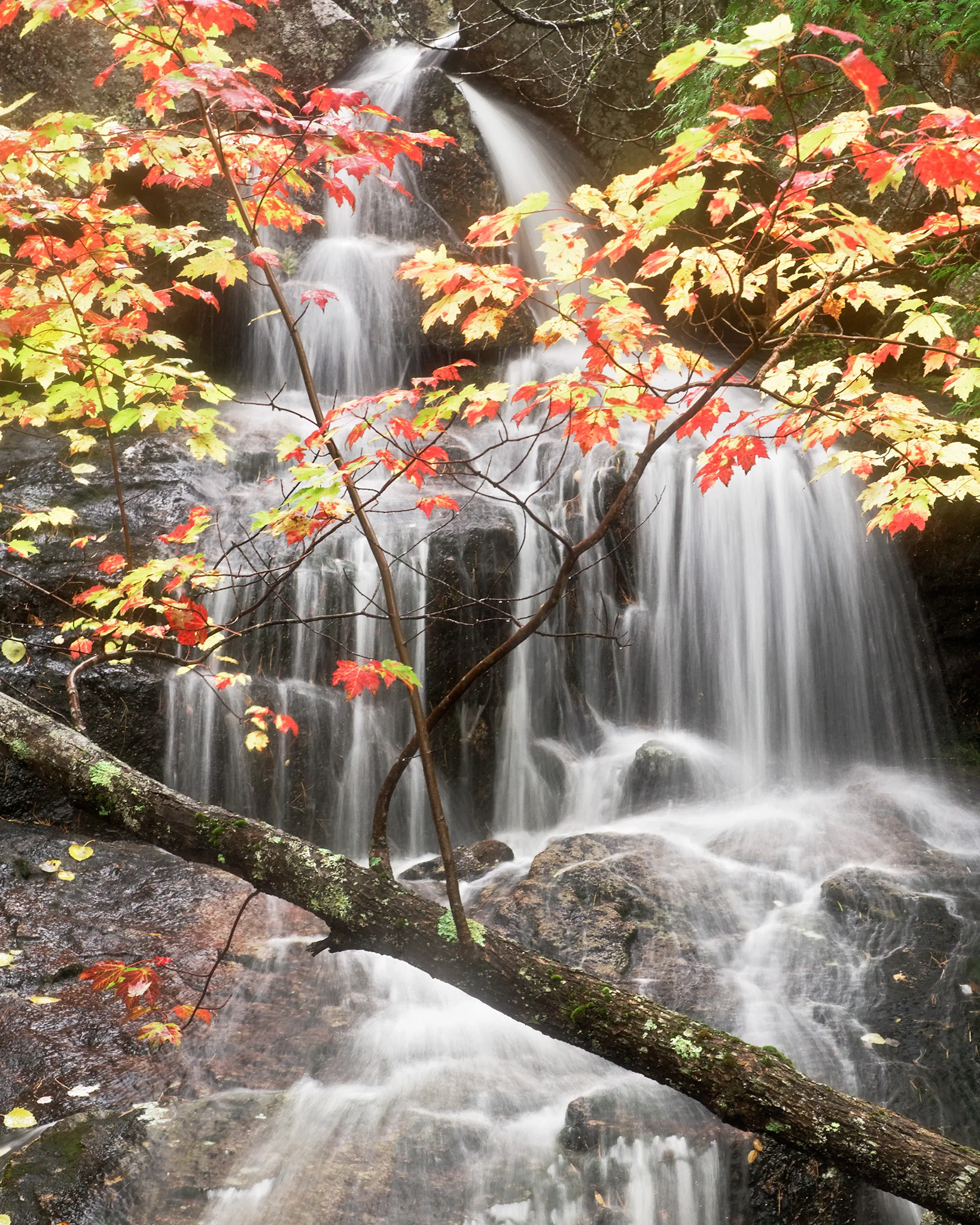 Cadillac Mountain Waterfall