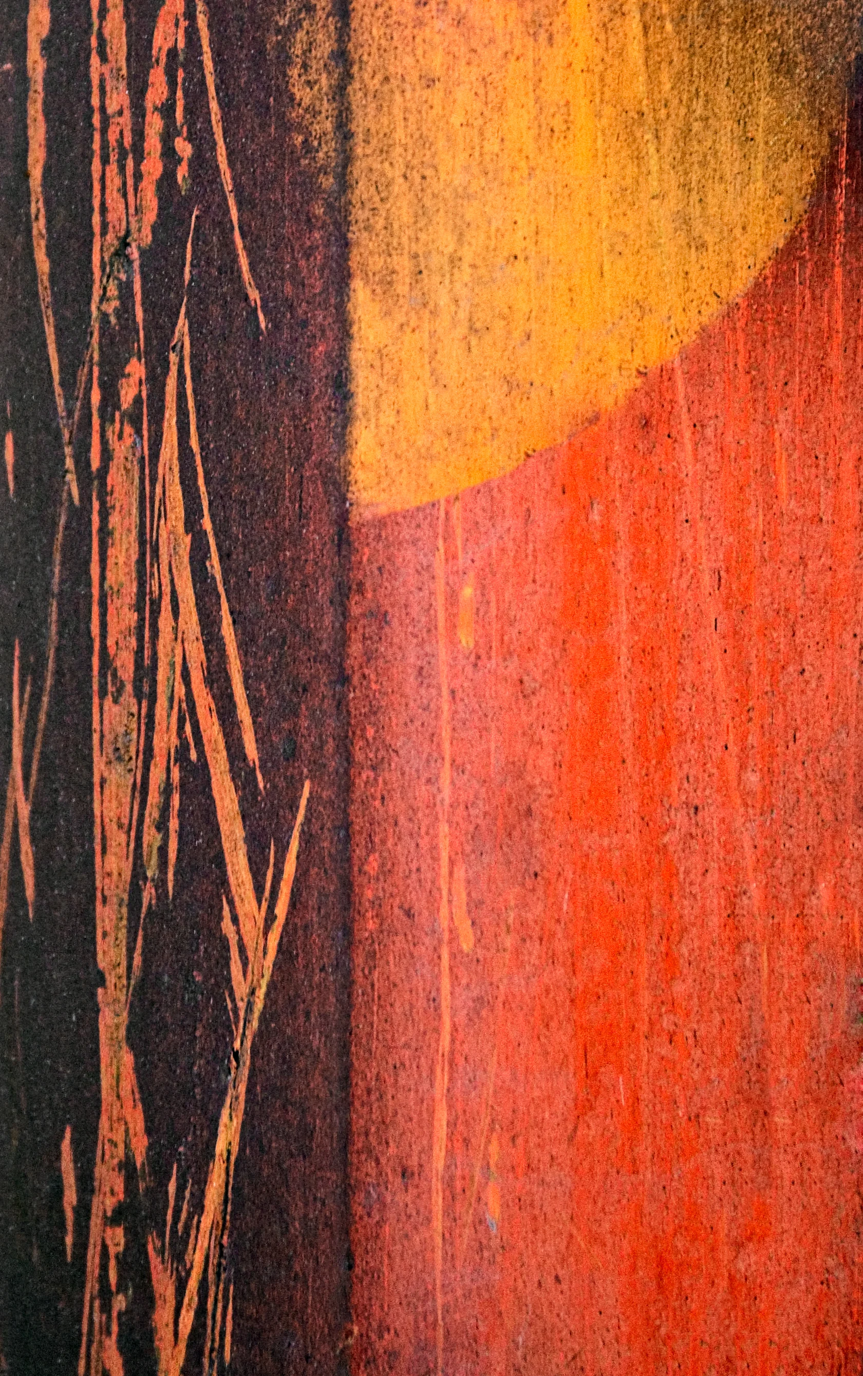 Morning Sun Against Bamboo Screen