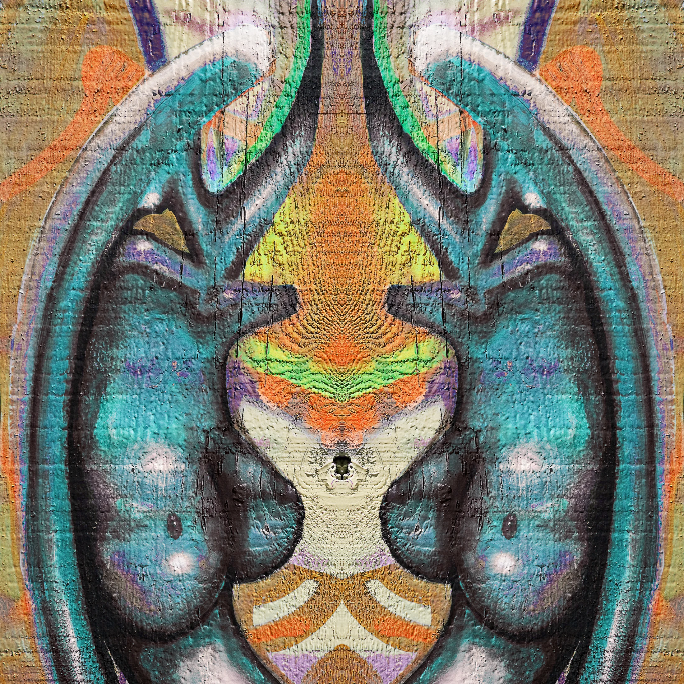 Womb