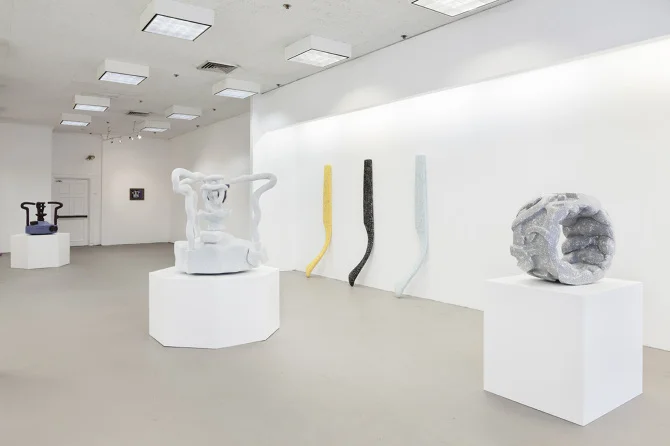 Installation shot of Peterson's 2014 solo show Myst at Proxy, Providence, RI Courtesy of Proxy, photos by Charles Benton