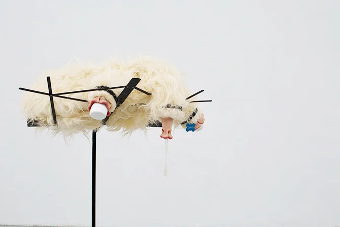 Companion, 2015