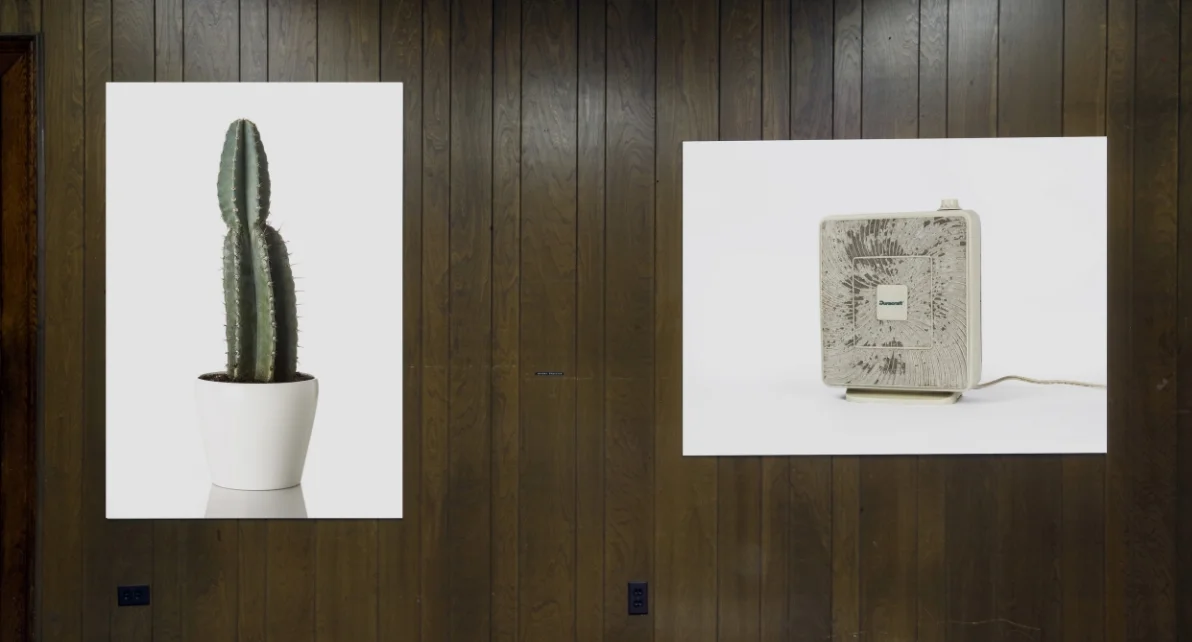 Standard Deviations Installation 09 (2)sm.jpg