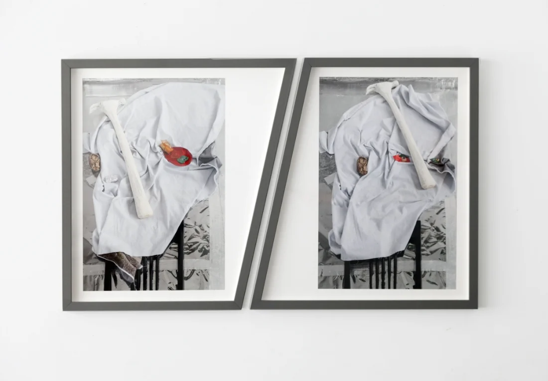 barbara weissberger, hammer nose, archival pigment prints, custom shaped frames, 21.5” x 36” 2016