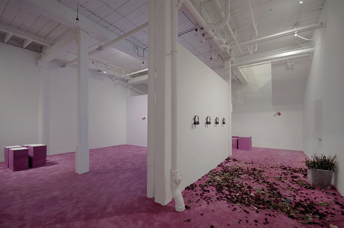 Amy Beecher, Beautiful Beautiful Beautiful Rose, GRIN May 17 - June 24 2017 Installation 16.jpg