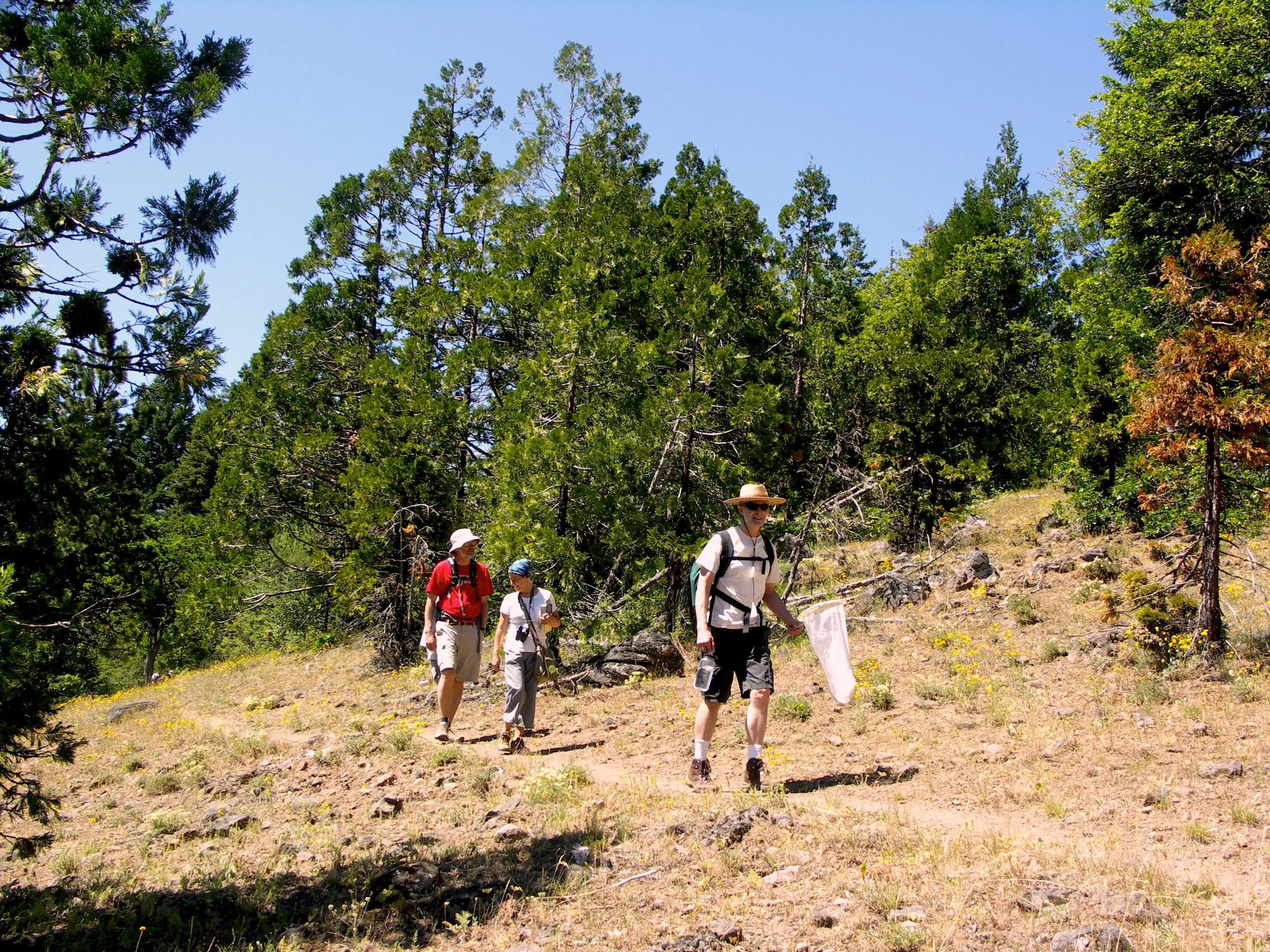 3HikersButterflyNet0204.jpg