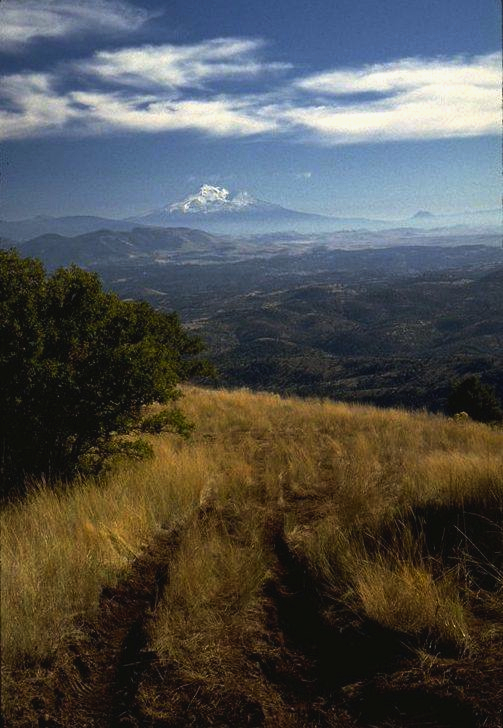 View toward Mt. Shasta, CA