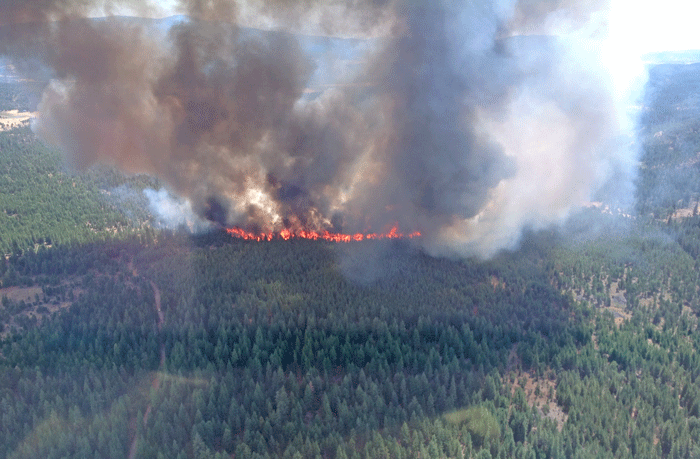 Oregon Gulch Fire photo by Lee Winslow, ODF