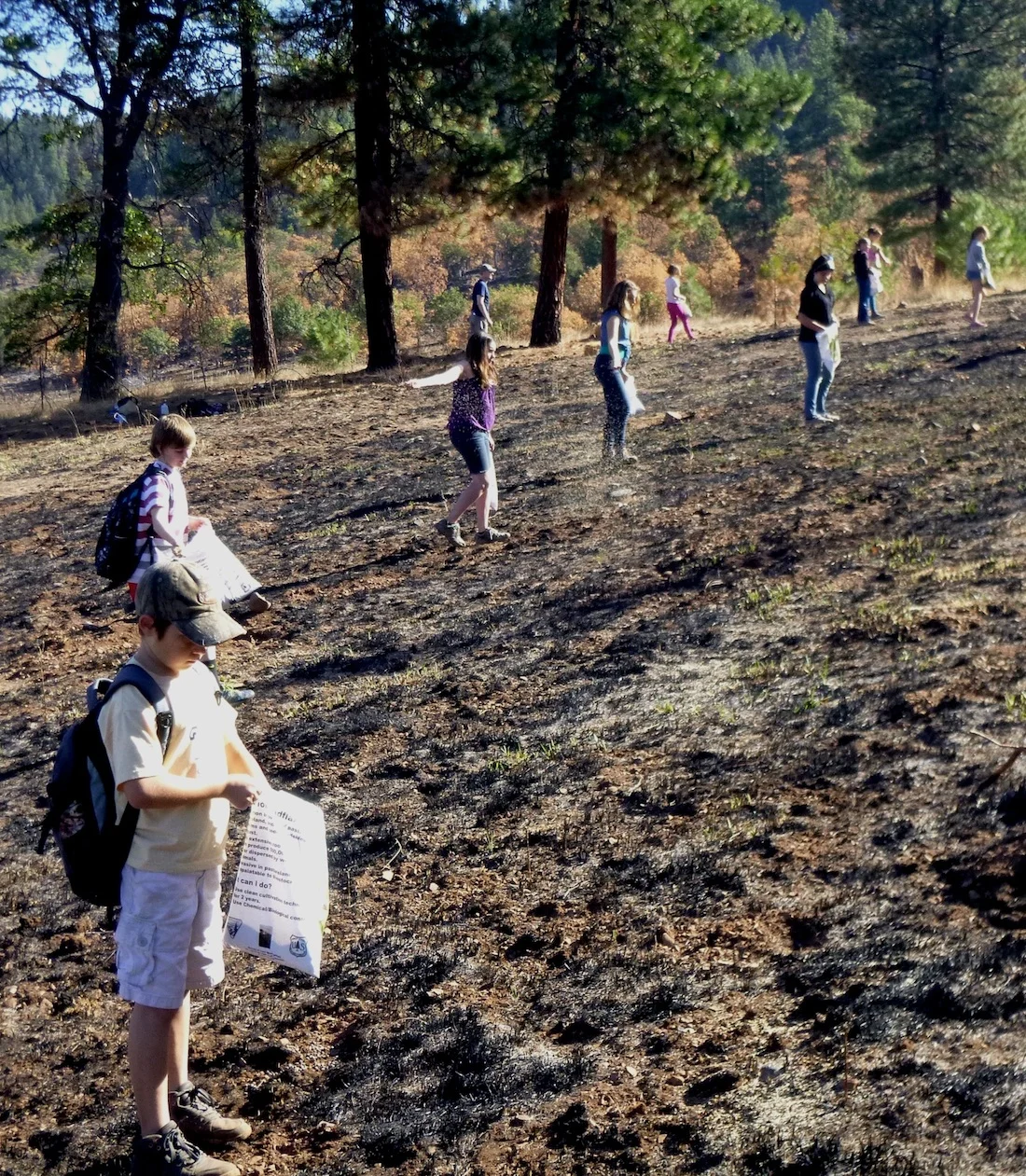 Earth Day 2015: Pinehurst Students Reseed Trees