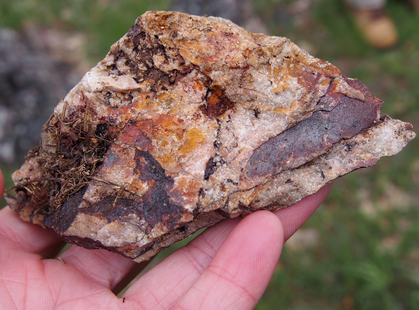 White bands of quartz in the rock sample