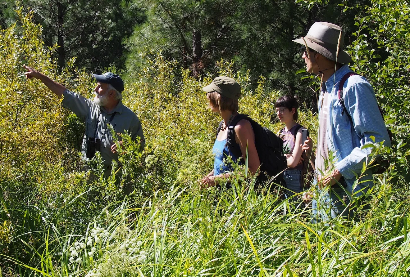 Michael Parker tells about the 'sponge' as participants stand on a now-empty beaver dam. K Boehnlein photo