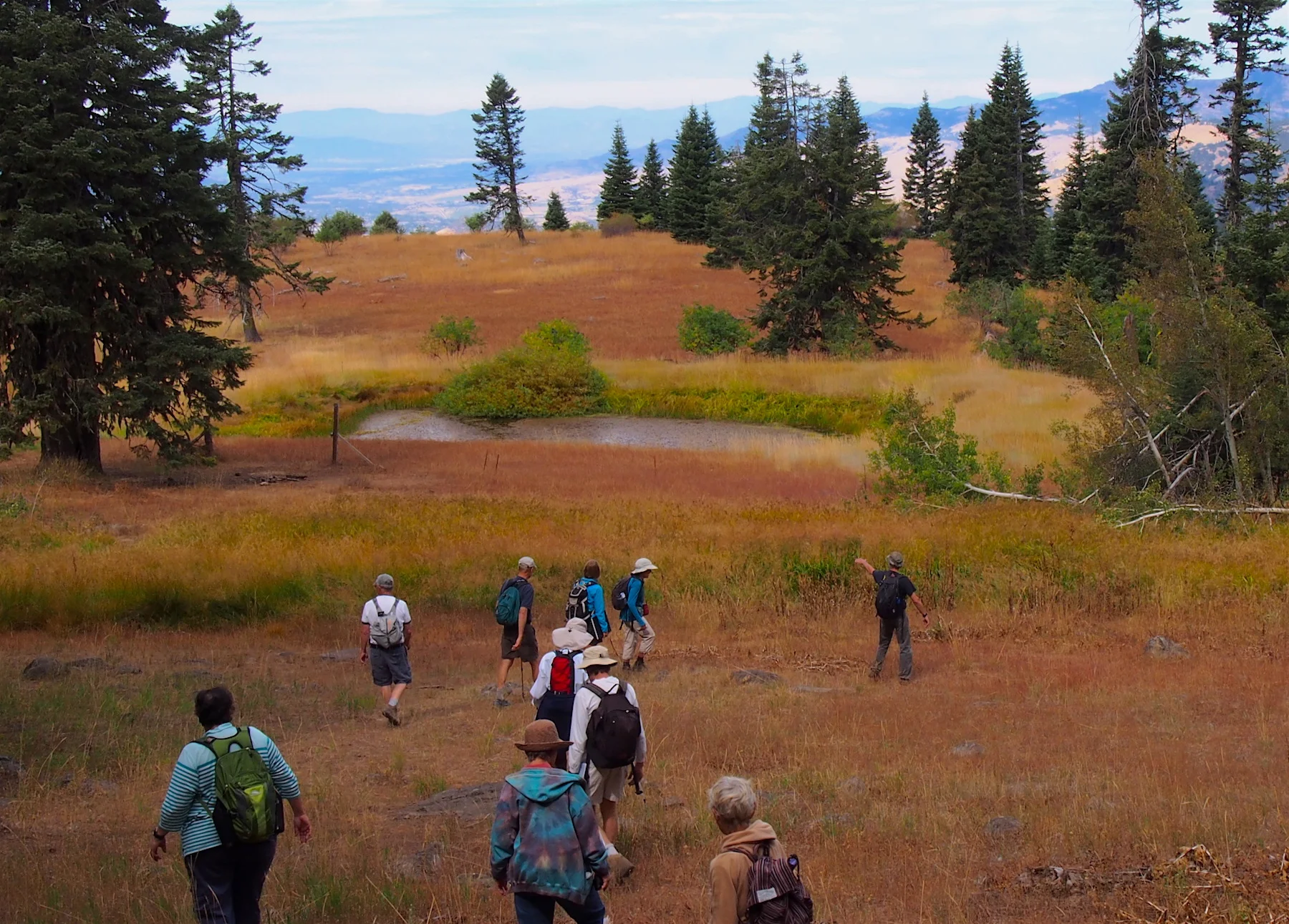 Walking through meadow