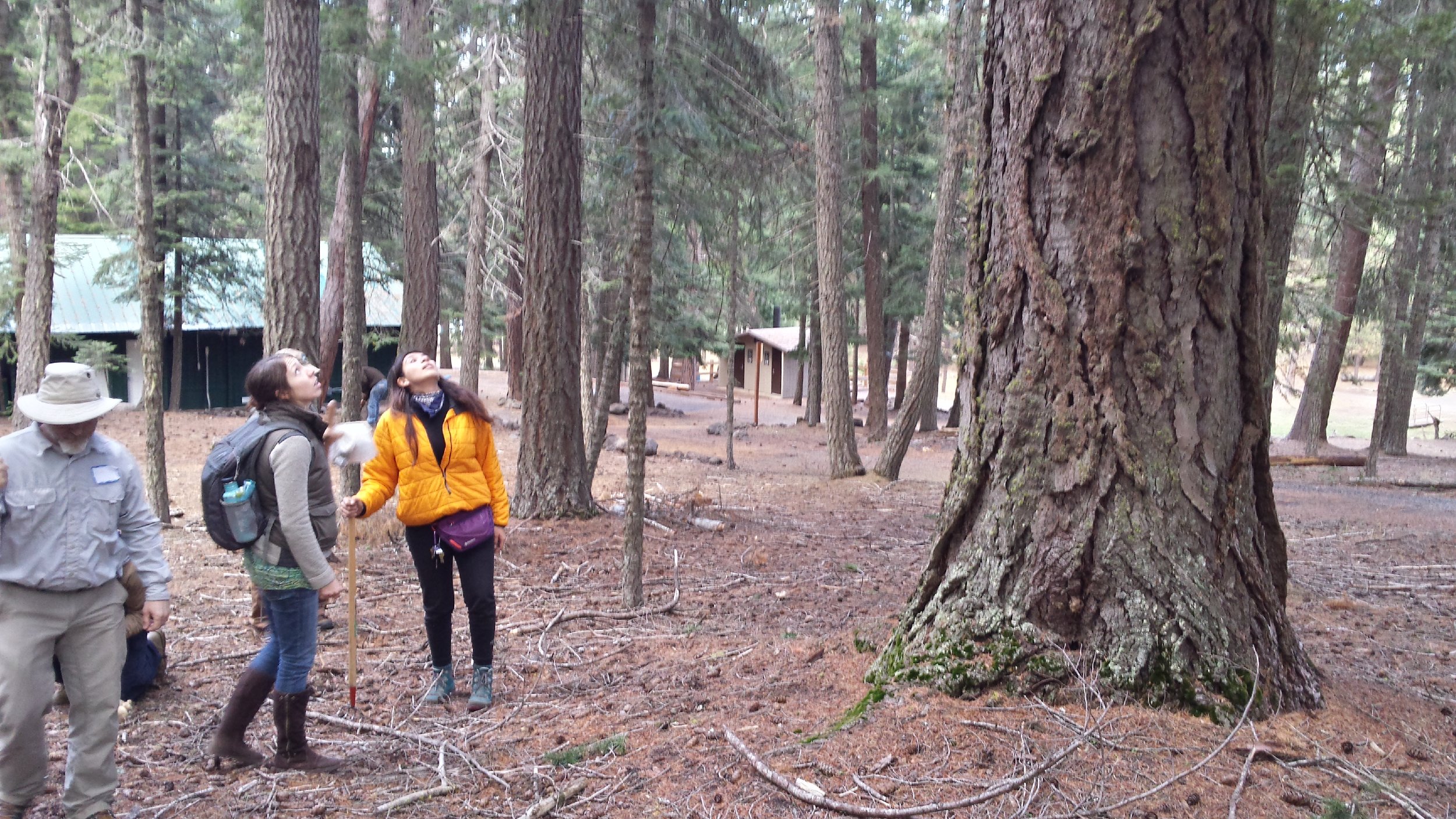  Mycologist  Carolina Piña Páez  with her team. 