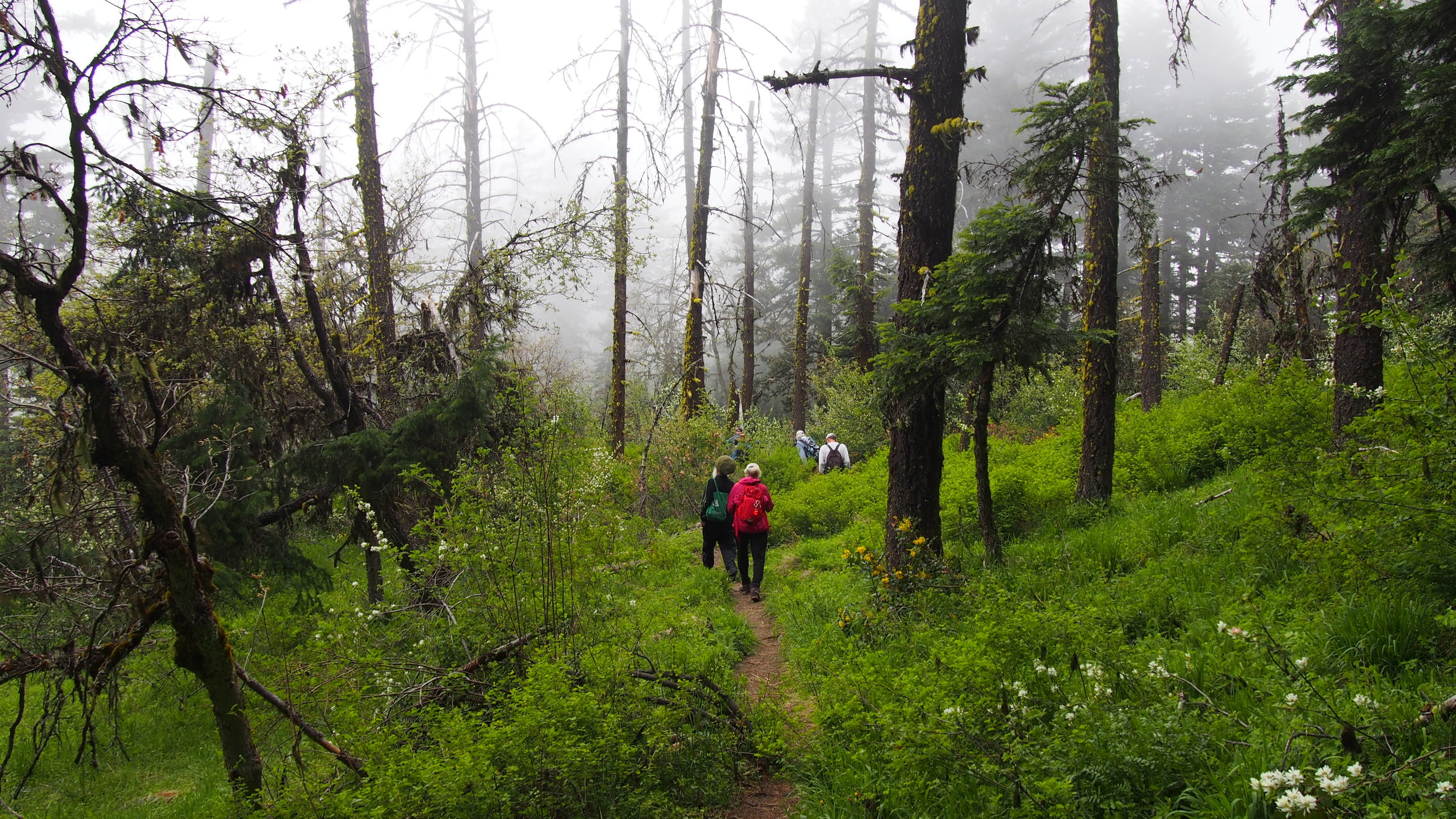  Hiking the Greensprings Mountain loop. 