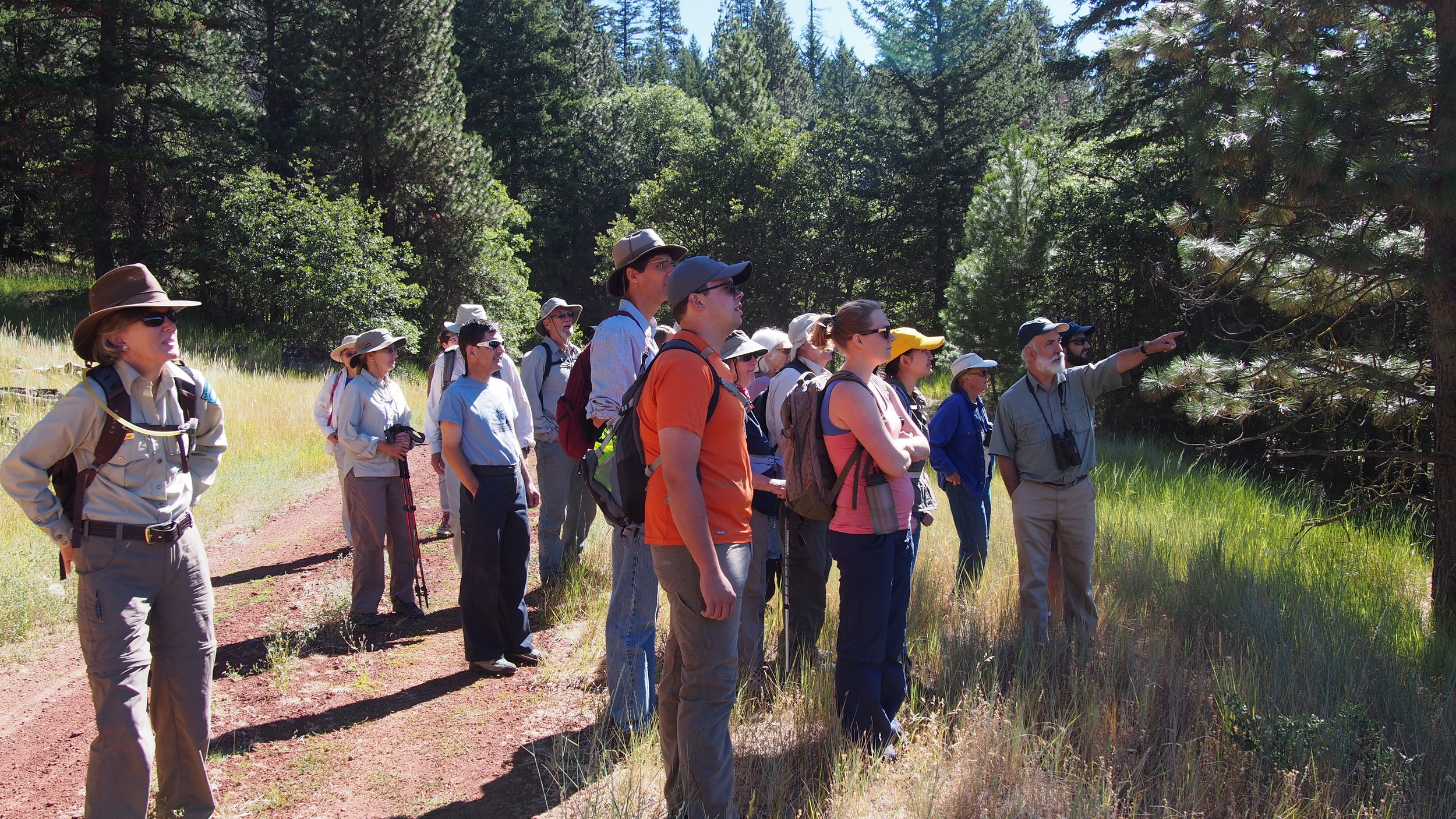  Aquatic ecologist  Michael Parker (r) &nbsp;shows participants Fredenburg Meadow, a unique wet meadow fed by Jenny Creek and Fredenburg Springs. 