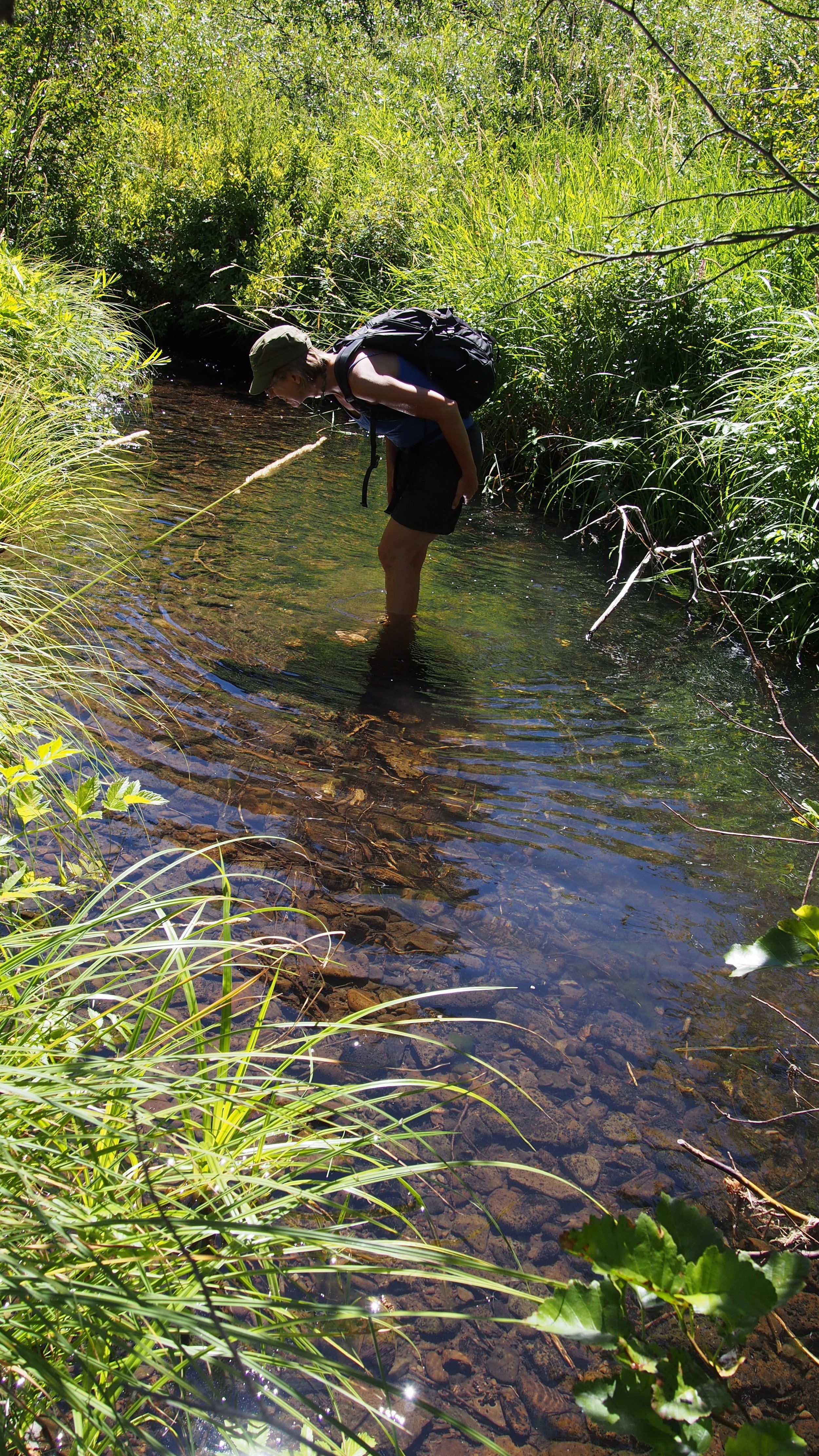  Exploring Jenny Creek while learning about beavers and watersheds. 