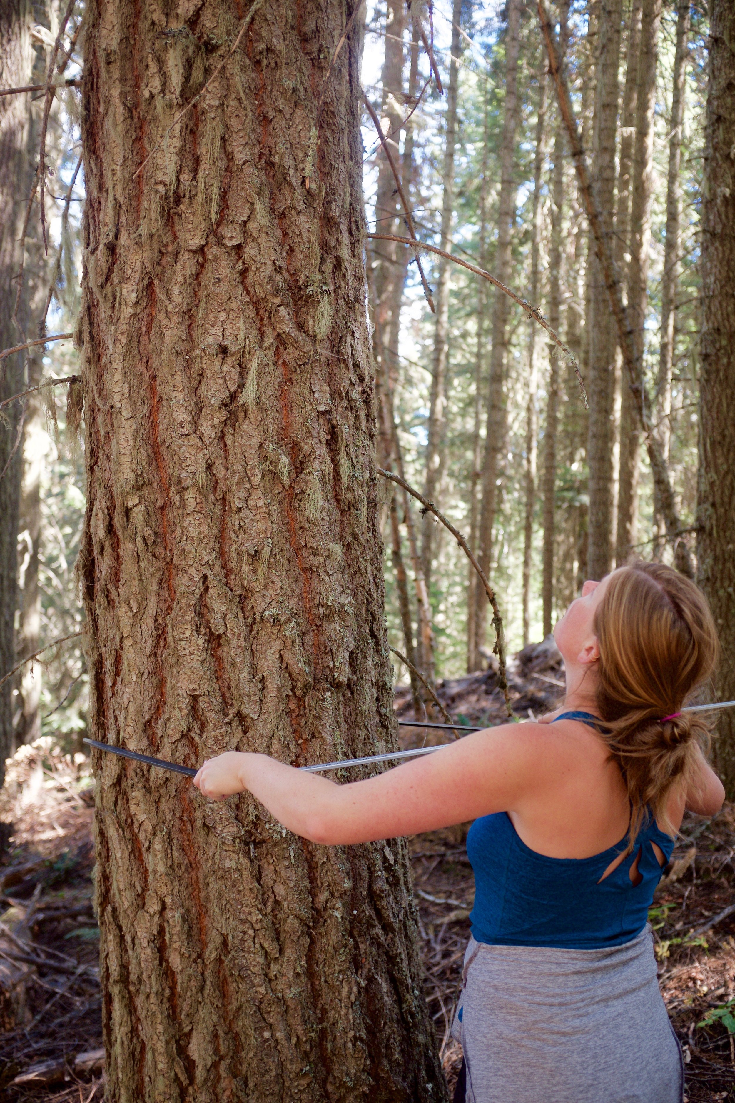  Identifying a Douglas fir tree and measuring its DBH as part of characterizing the habitat used by a barred owl pair.&nbsp; Photo by Andrew Moore. 