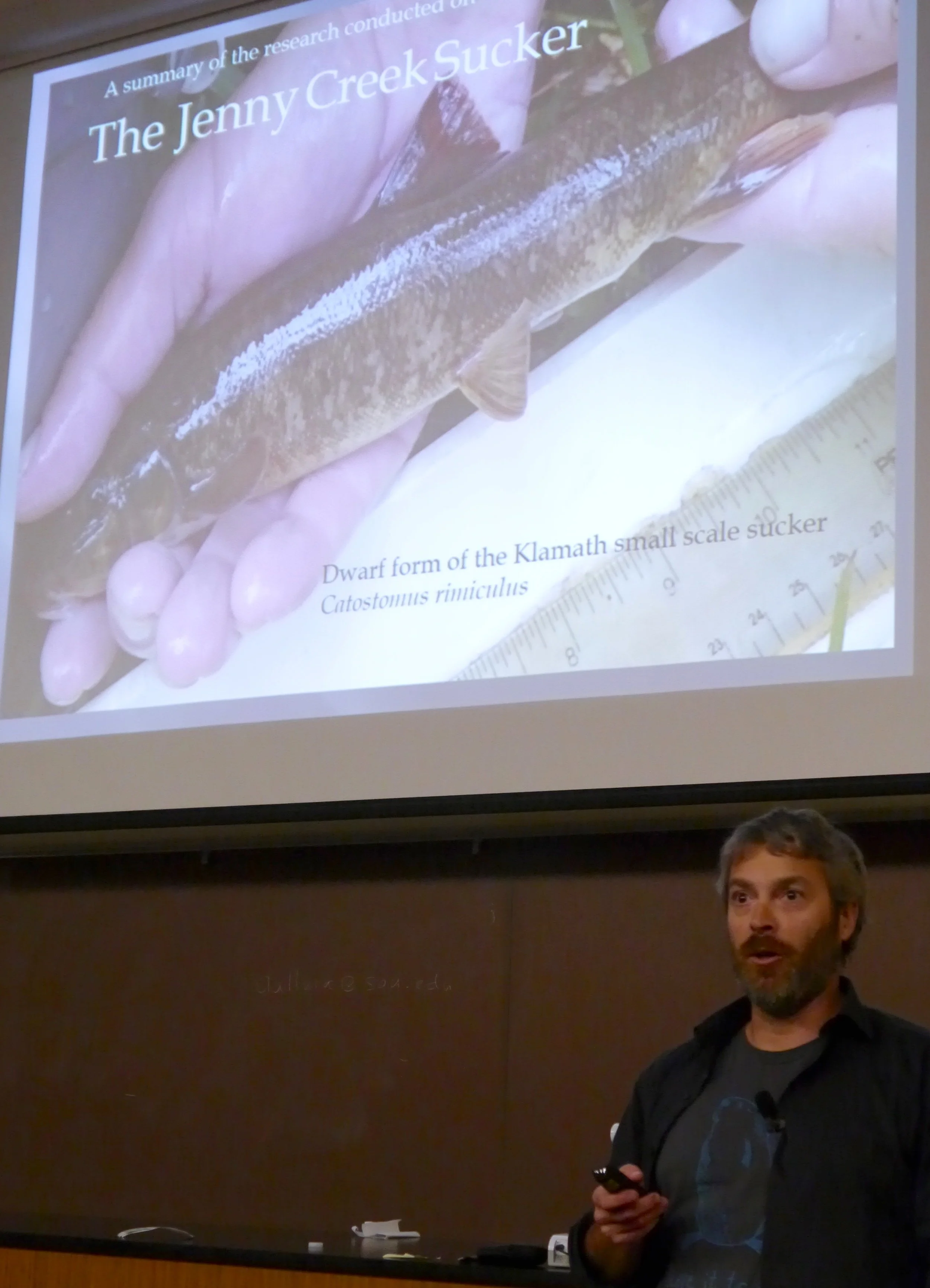 Chris Volpe talks about the current status of the Jenny Creek sucker. K Boehnlein photo