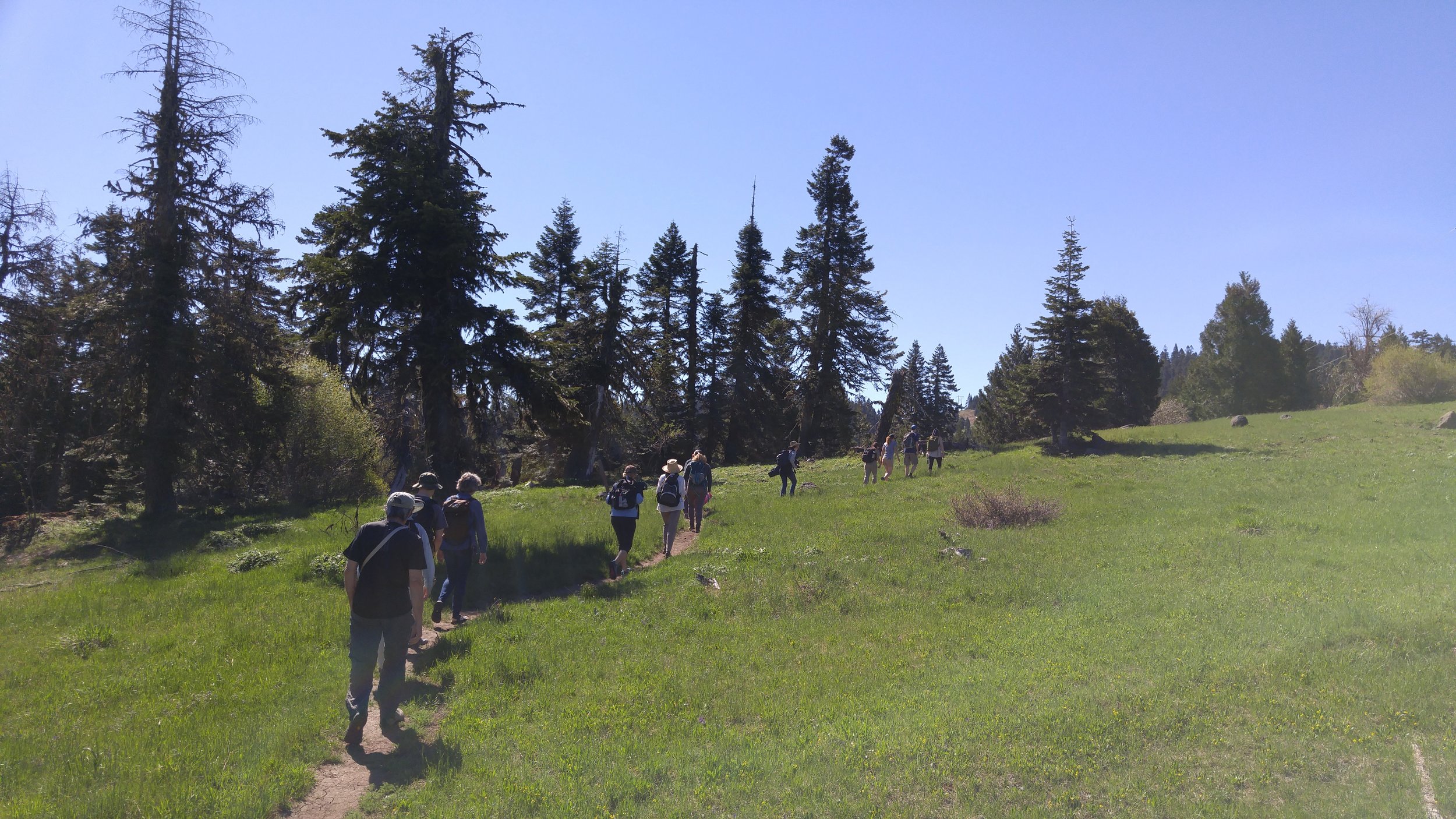 Sketch group on Hobart Bluff Trail
