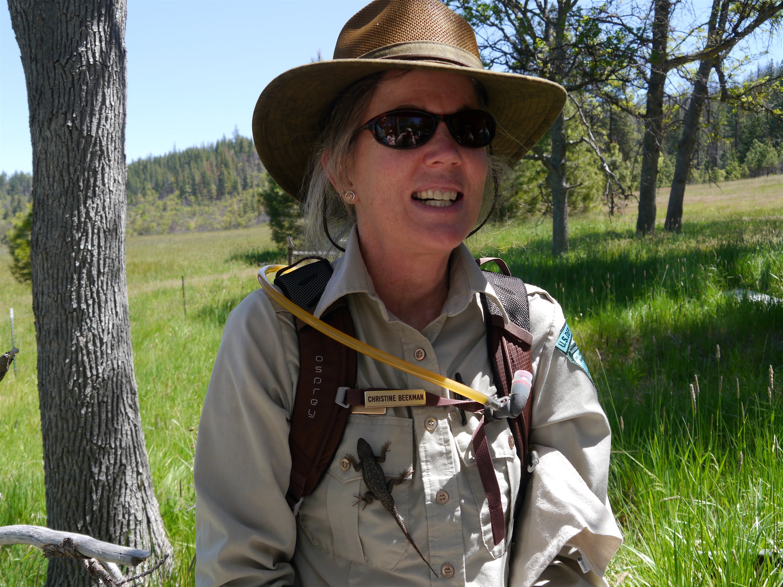 Christine Beekman, BLM Interpretive Specialist "wears" a live lizard. Photo by Terry Dickey
