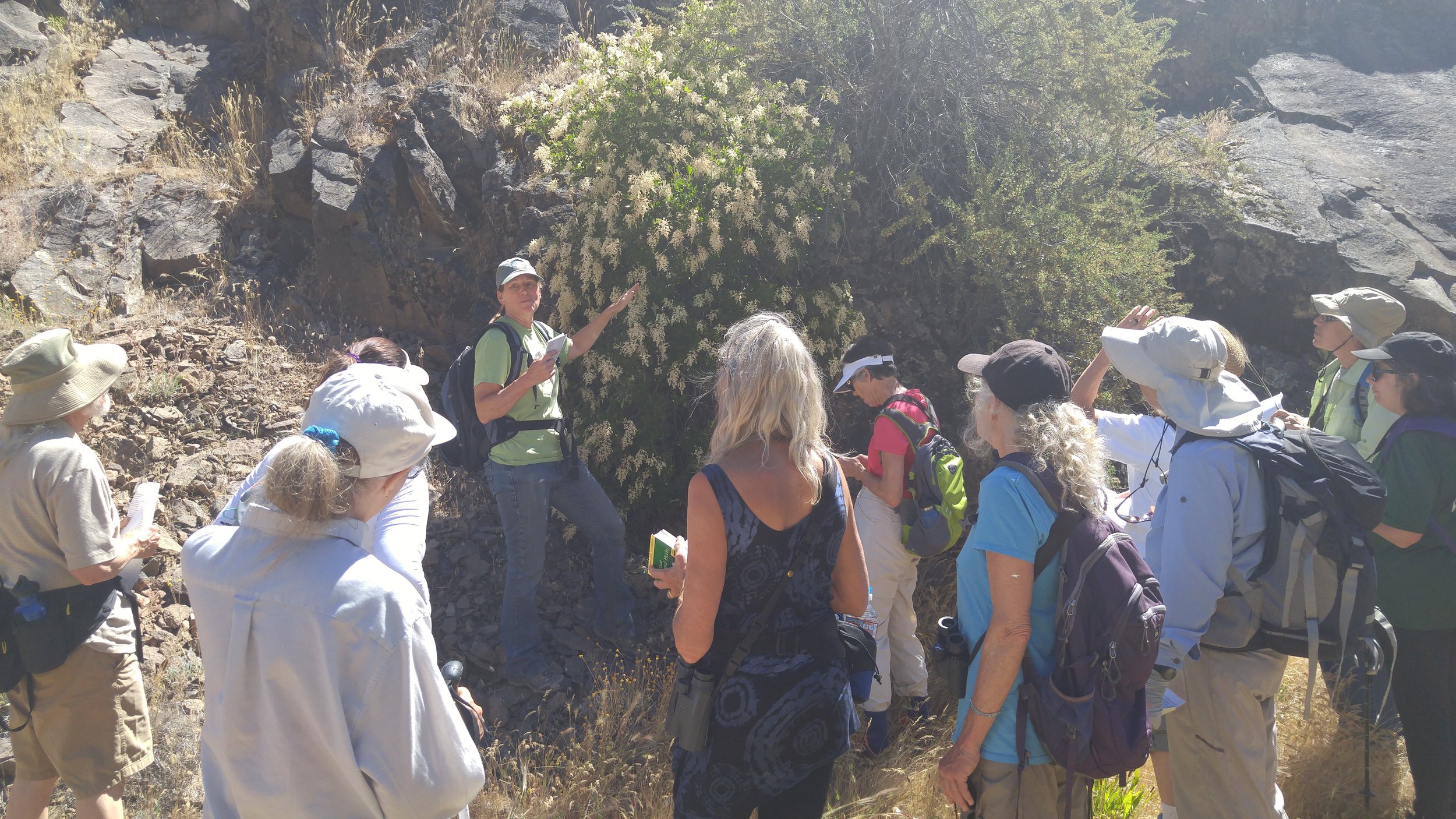 Botanist Sheri Hagood Sheri tells the group about Ocean Spray ( Holodiscus discolor )