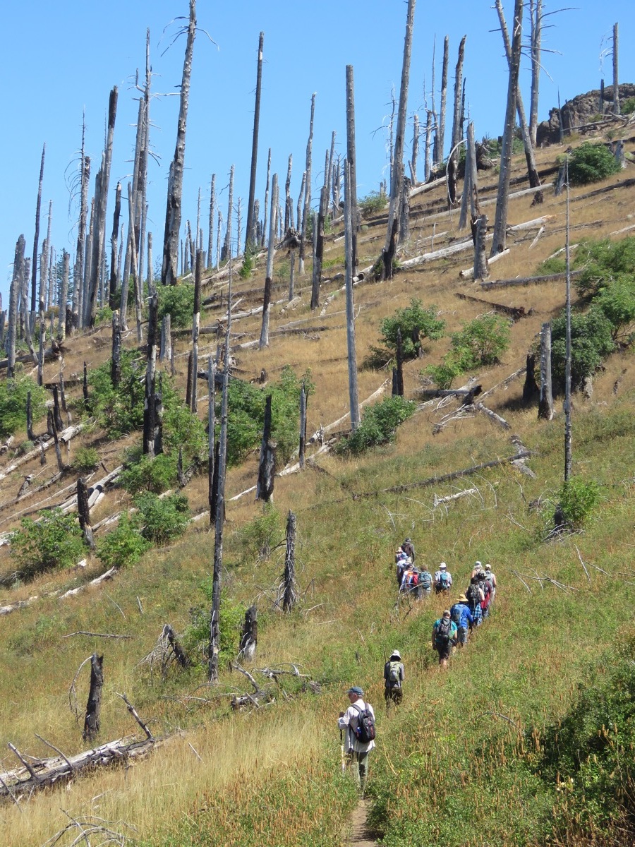  Hiking through fire touched landscape, 15 years later. C Beekman photo 