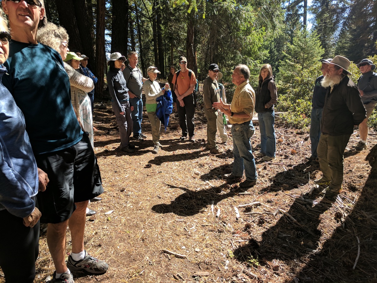 Potential wagon ruts at Tub Springs