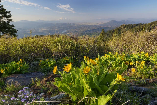Cascade-Siskiyou National Monument was established because of its biodiversity. See photos of the monument in the BLM Oregon and Washington Flikr album .