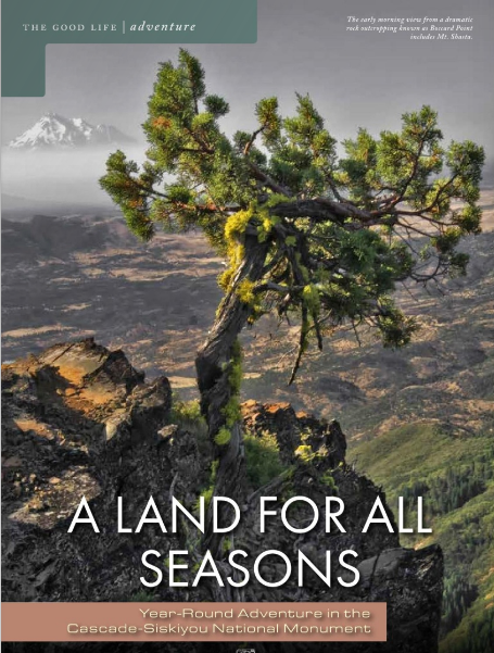 Witt-Feature-SoOR-Mag2018.png