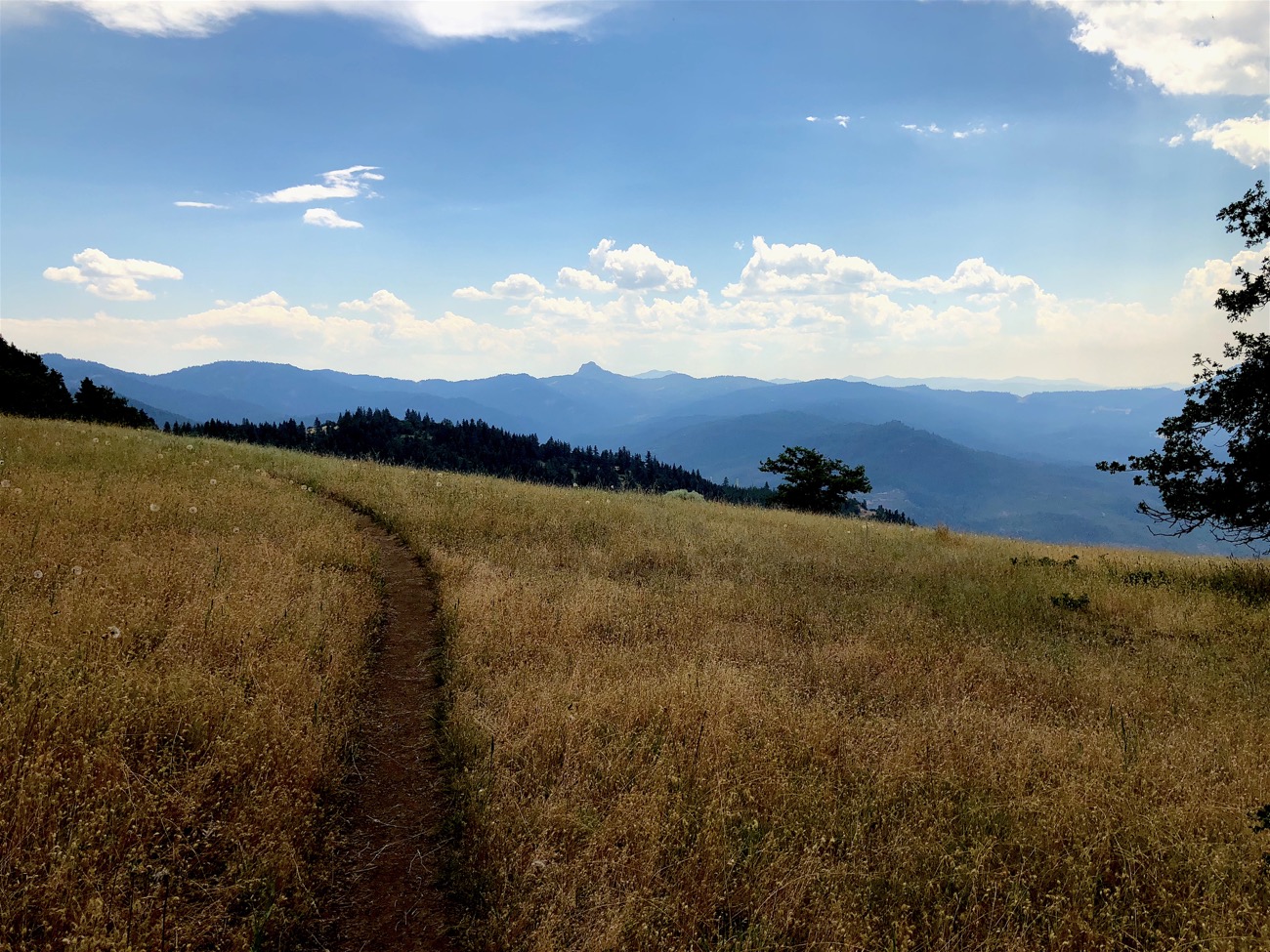 Distant view of Pilot Rock