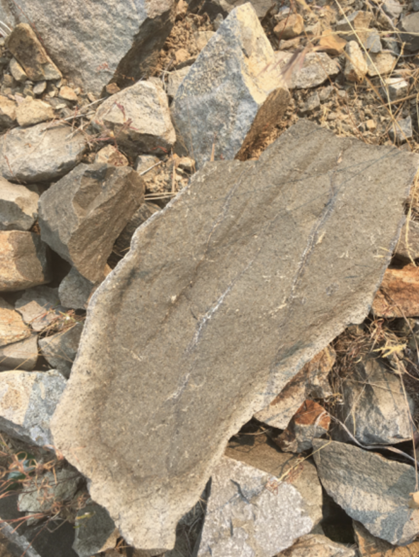 A large chunk of andesitic basalt. Notice what appears to be a lighter colored rim, and the light-colored veins. This rock is a bit of a mystery, and we see it at the bottom of a specific unit. The mixed nature of the colors is an ongoing area of research for us. Photo by student researcher Dylan Carlini.