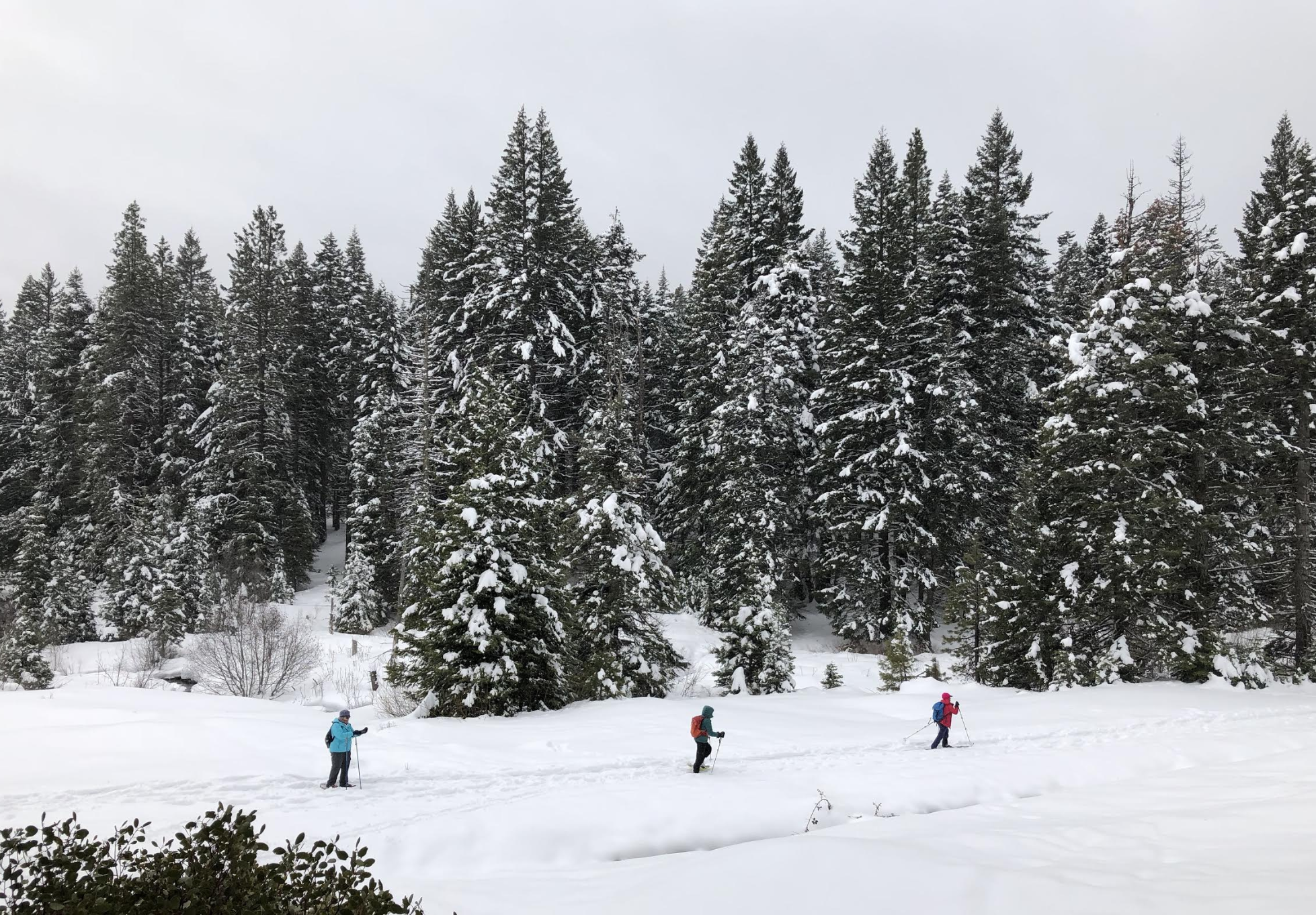 Participants snowshoe along Buck Prairie in search of elusive wildlife.