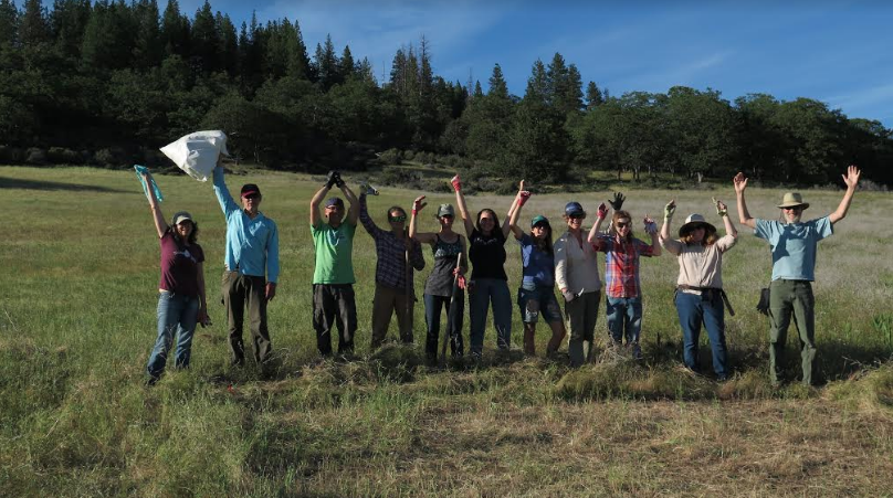 We are excited to see the results of this project next year!