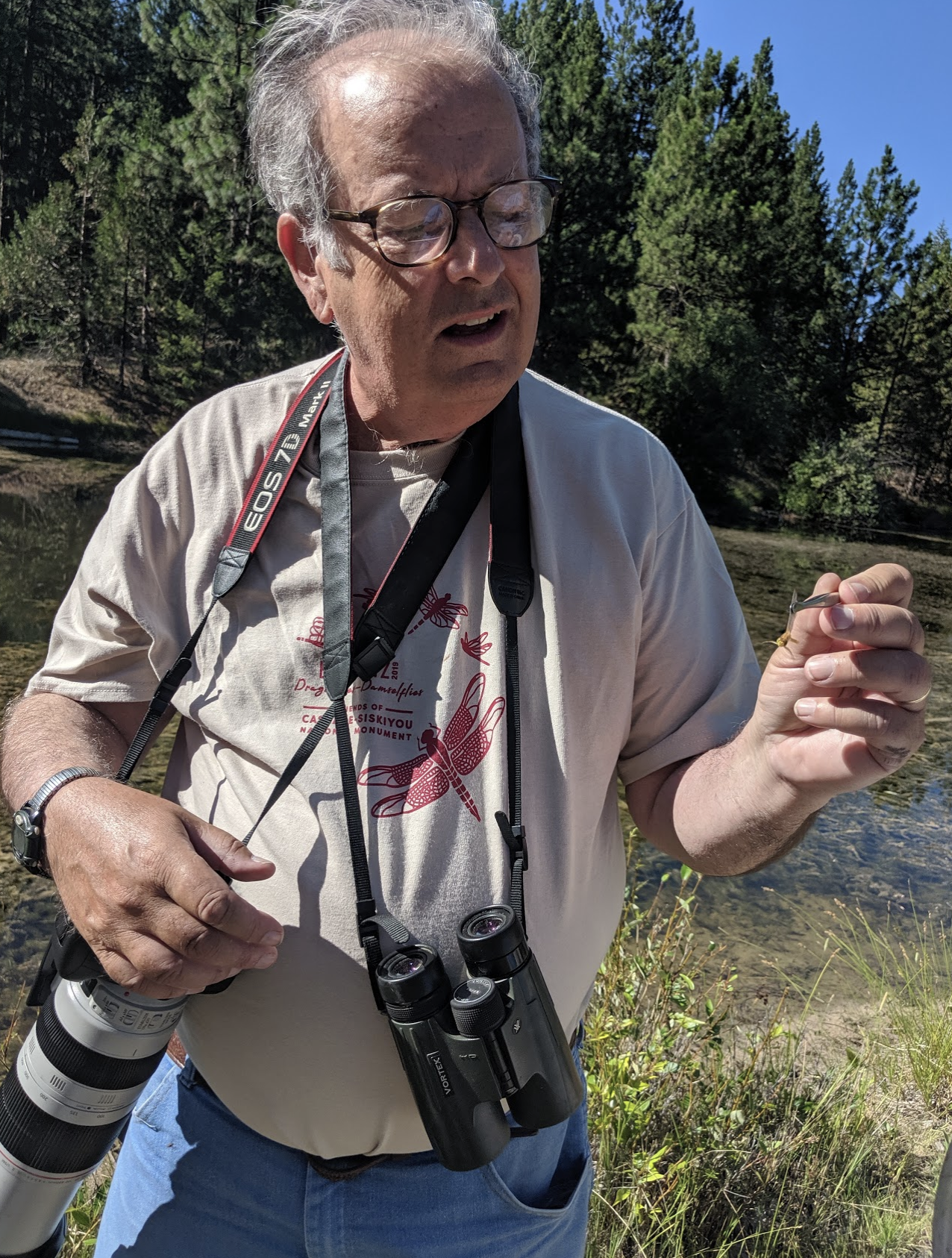  Norm Barrett, BioBlitz organizer, identifies a dragonfly in hand. Photo by Shannon Browne. 