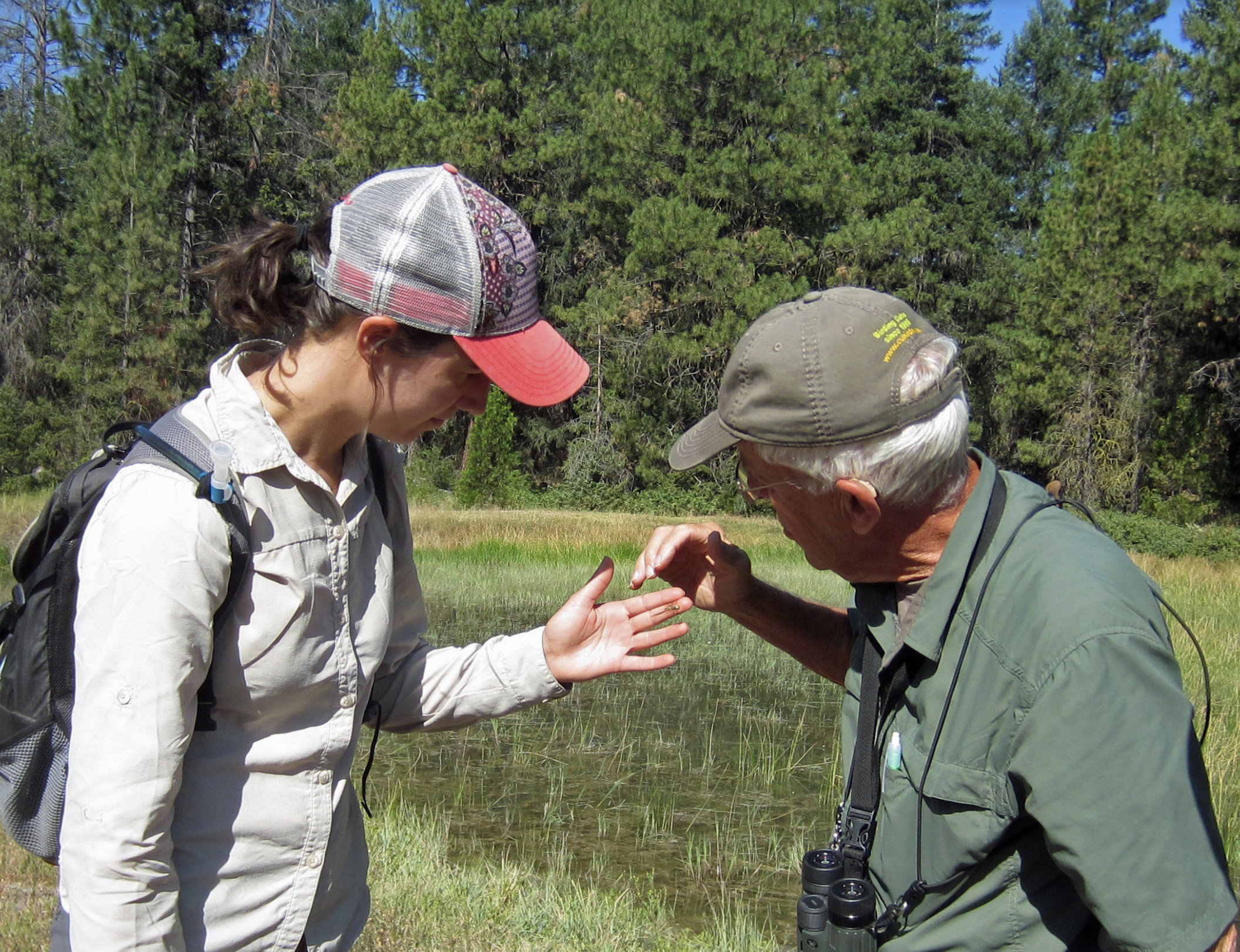  Learning how to identify dragonflies from the experts. Photo by Kristi Reynolds 