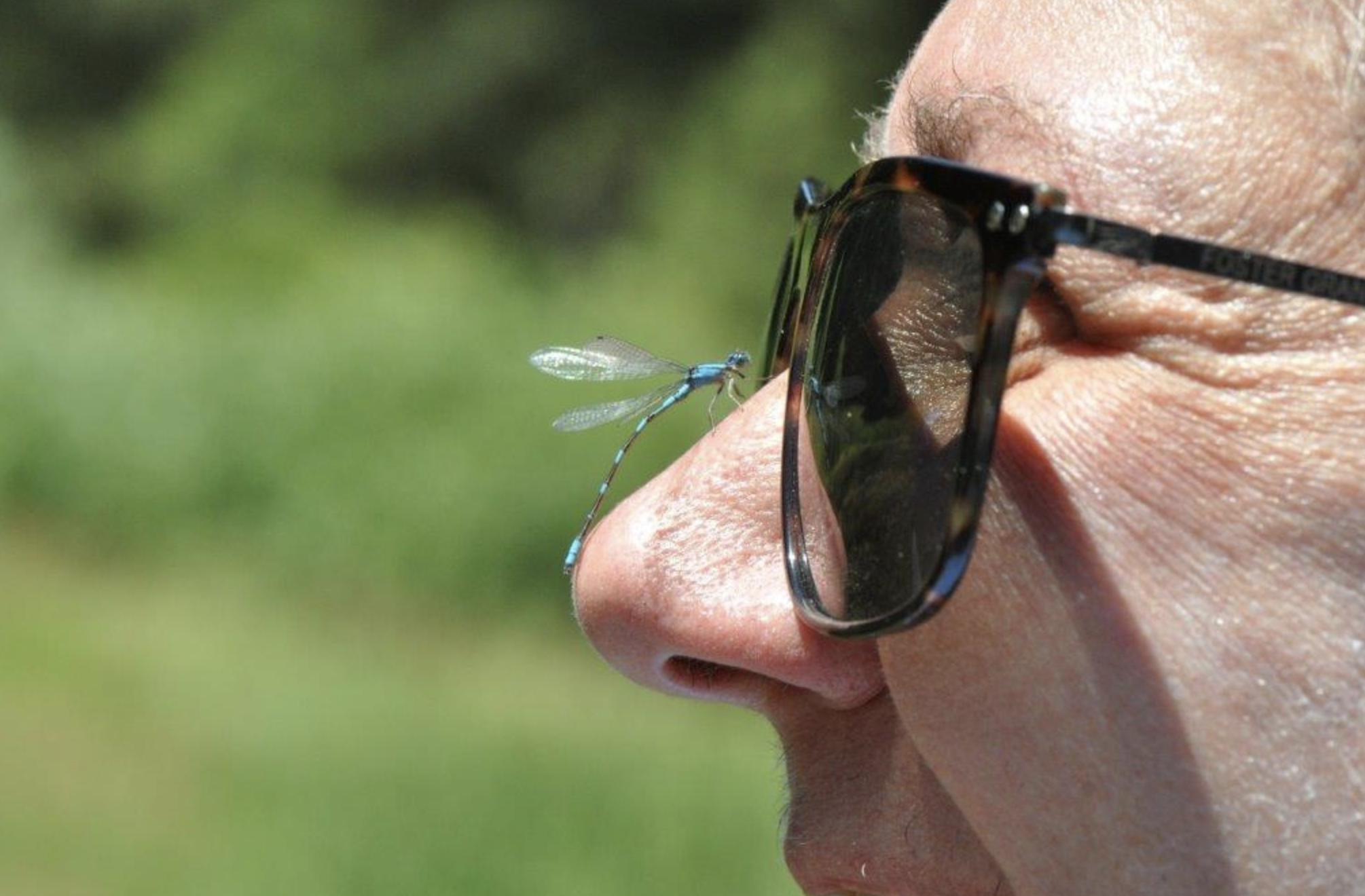 Friendly bluet damselfly. Photo by Barbara Peck