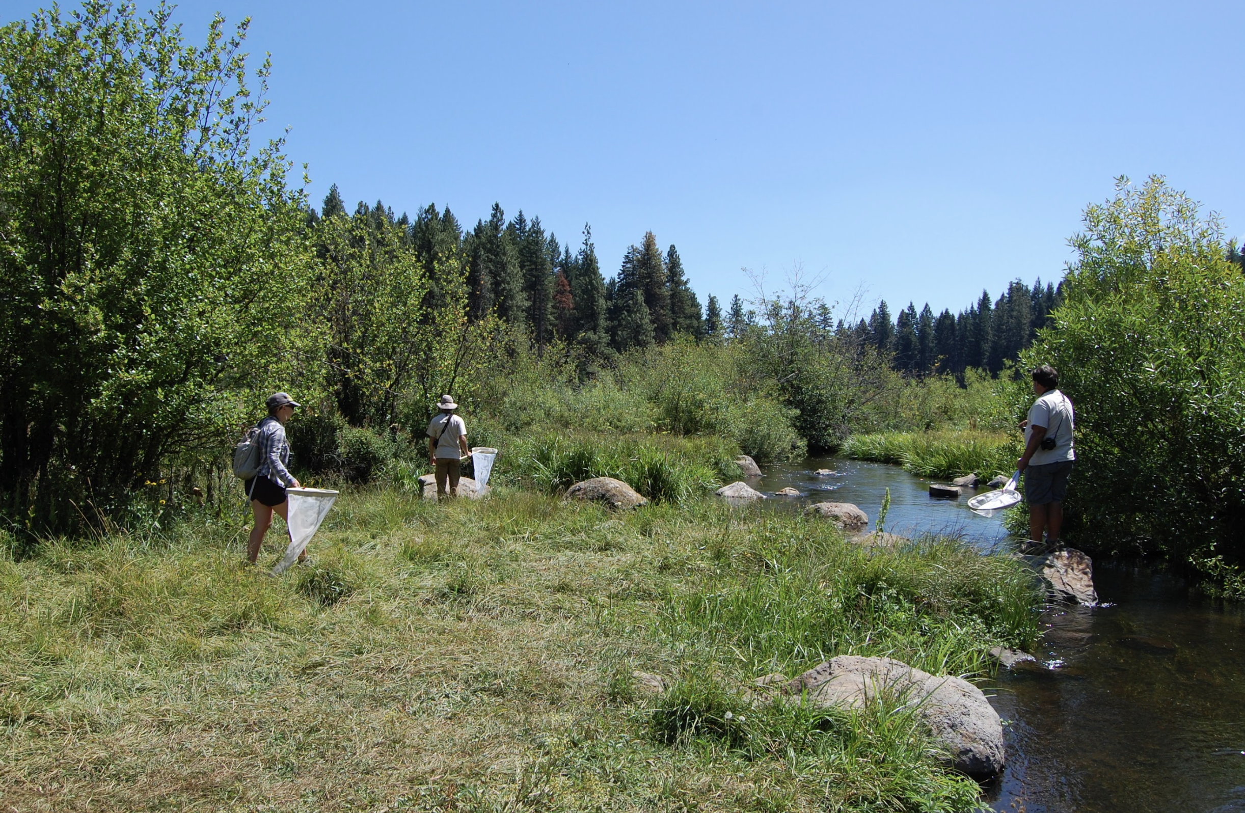 Surveying at Little Hyatt Lake. Photo by Lilia Letsch.