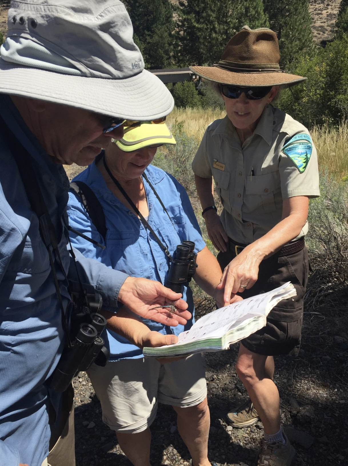  Participants partnered with expert leaders and Cascade-Siskiyou NM staff to identify dragonflies and damselflies. 
