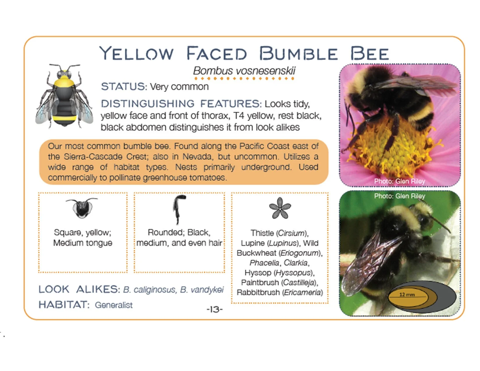 s944056080853611611_p9_i4_w1650 (1).jpeg