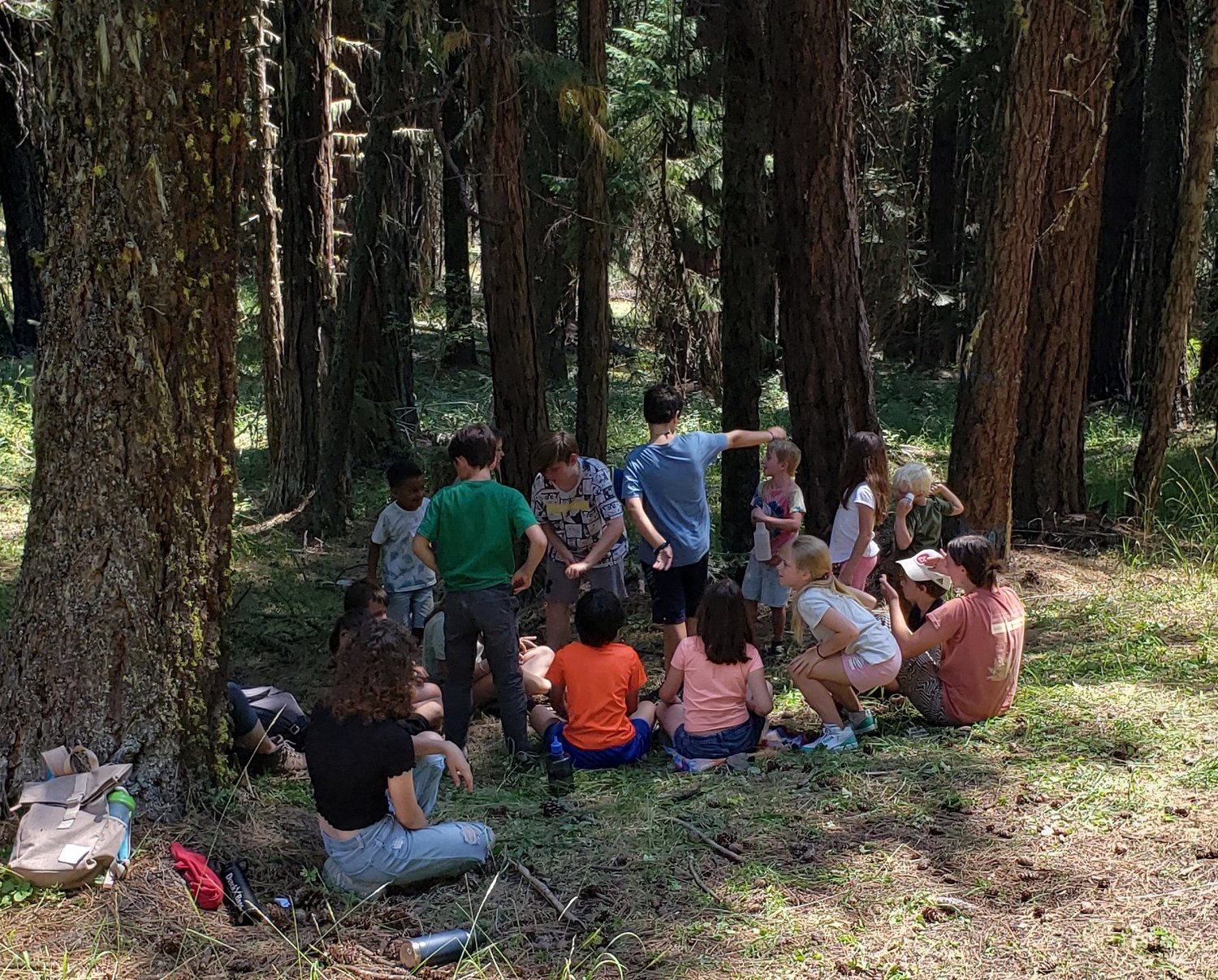  Playing a game among the trees 