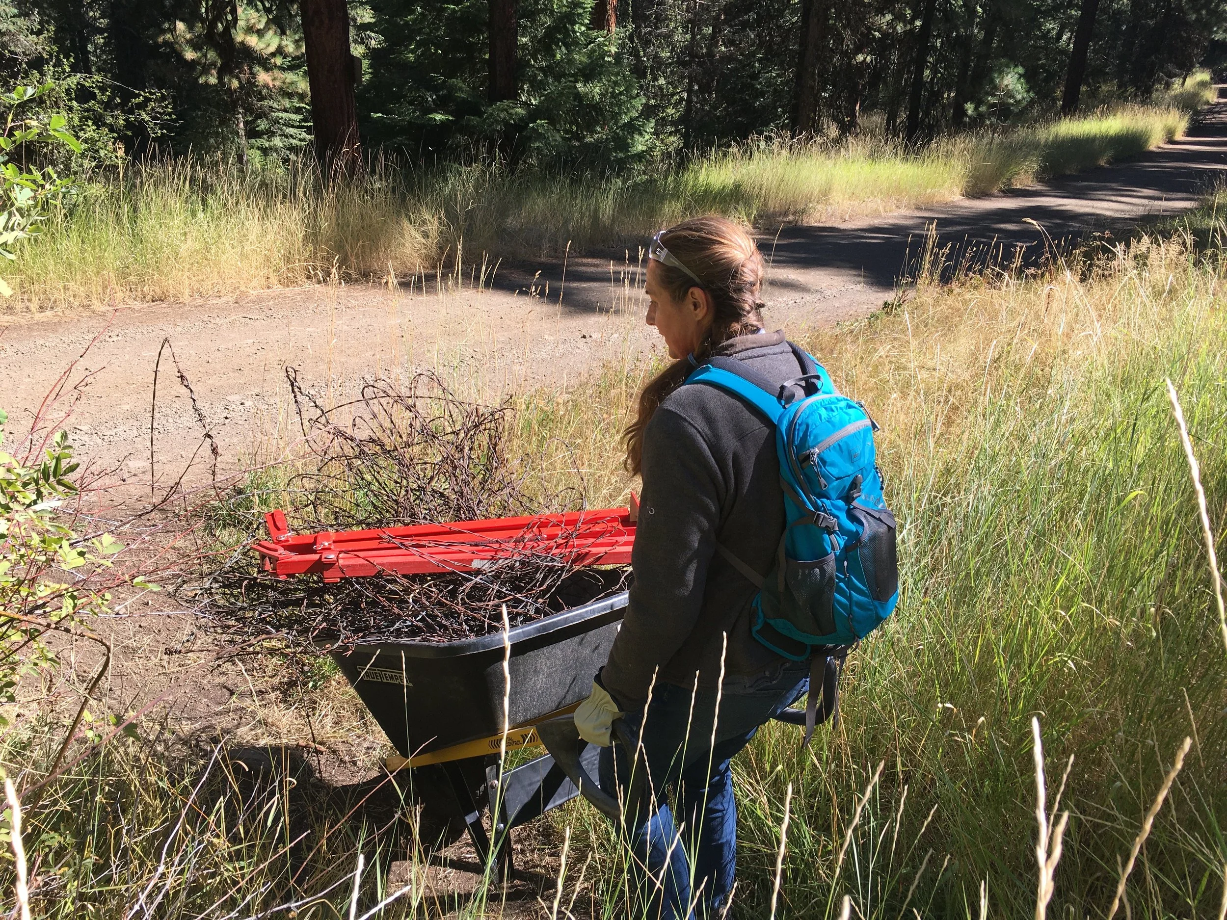 October 2022 Newsletter