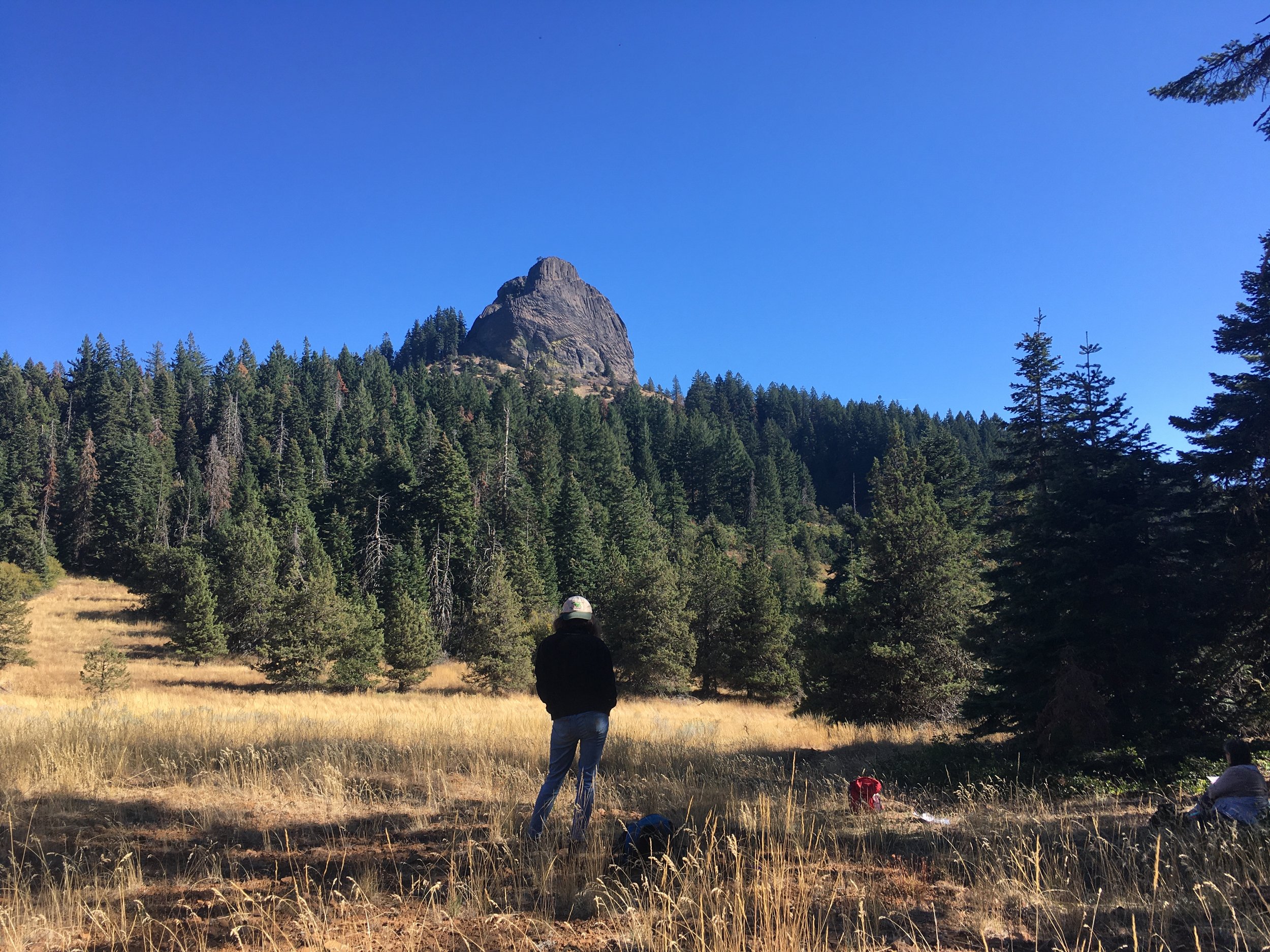 Sensory Exploration, Creative Inspiration, and Writing