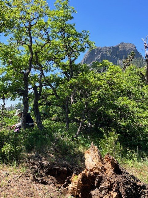  Kathryn hiding in the shade below Pilot Rock 