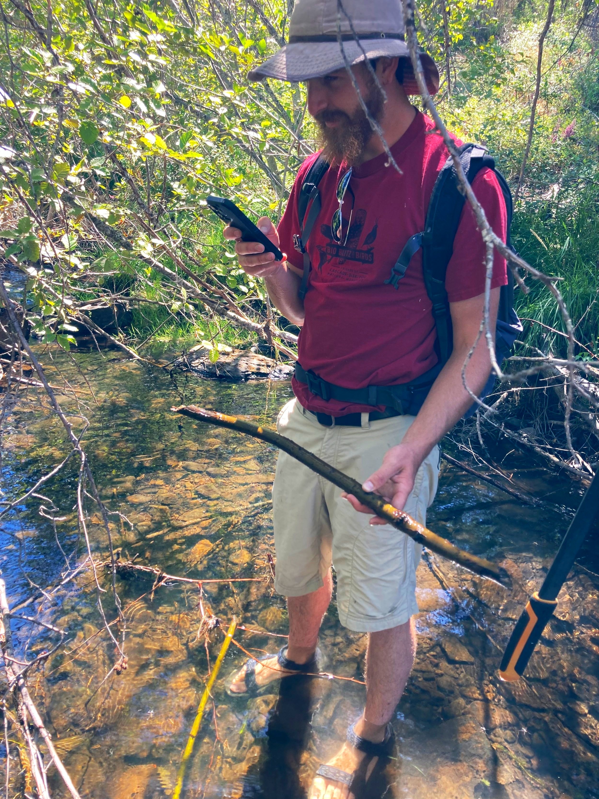Documenting a beaver stick in Survey123