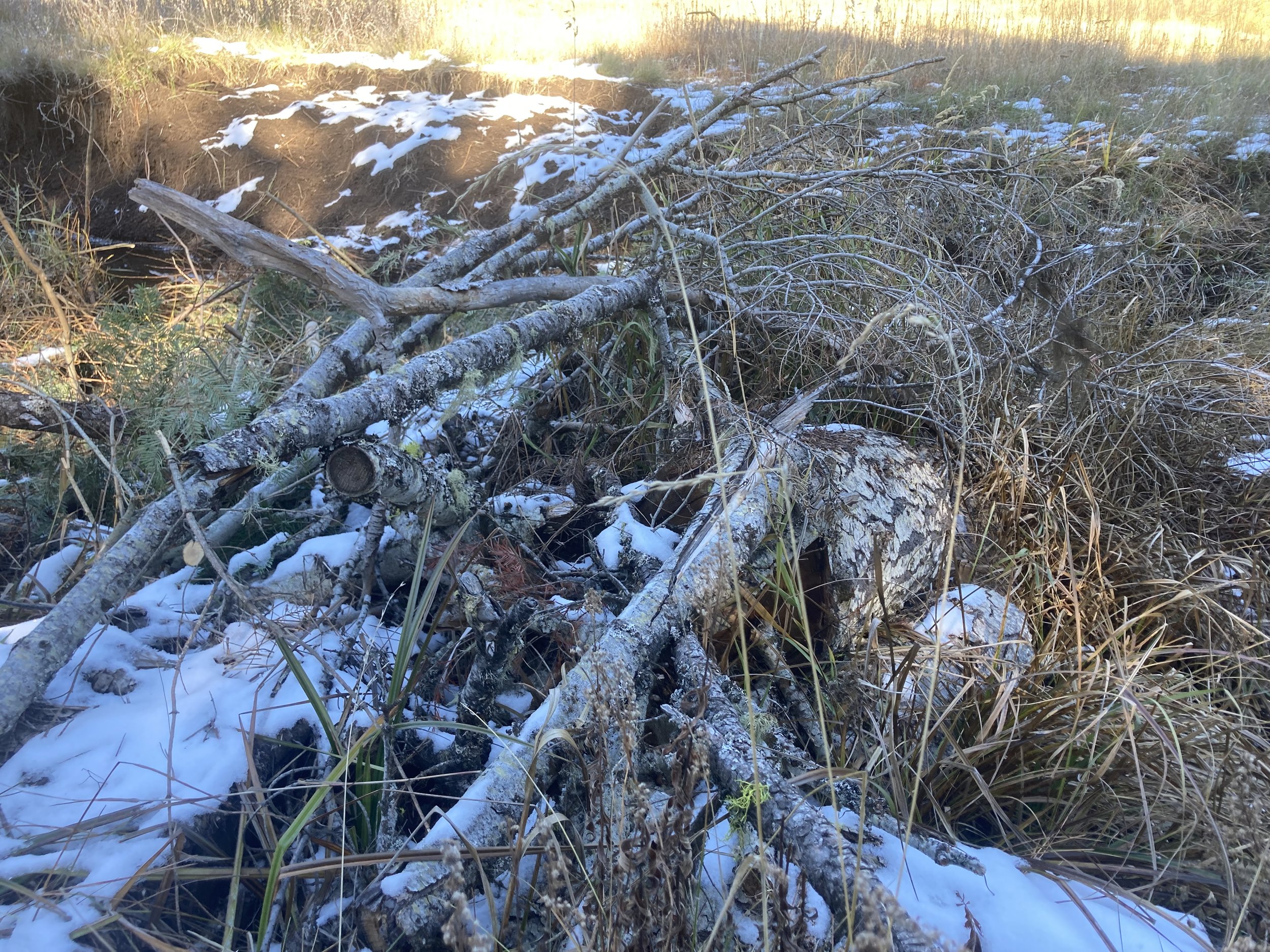   Cross-channel creek structure using local materials from the environment.  