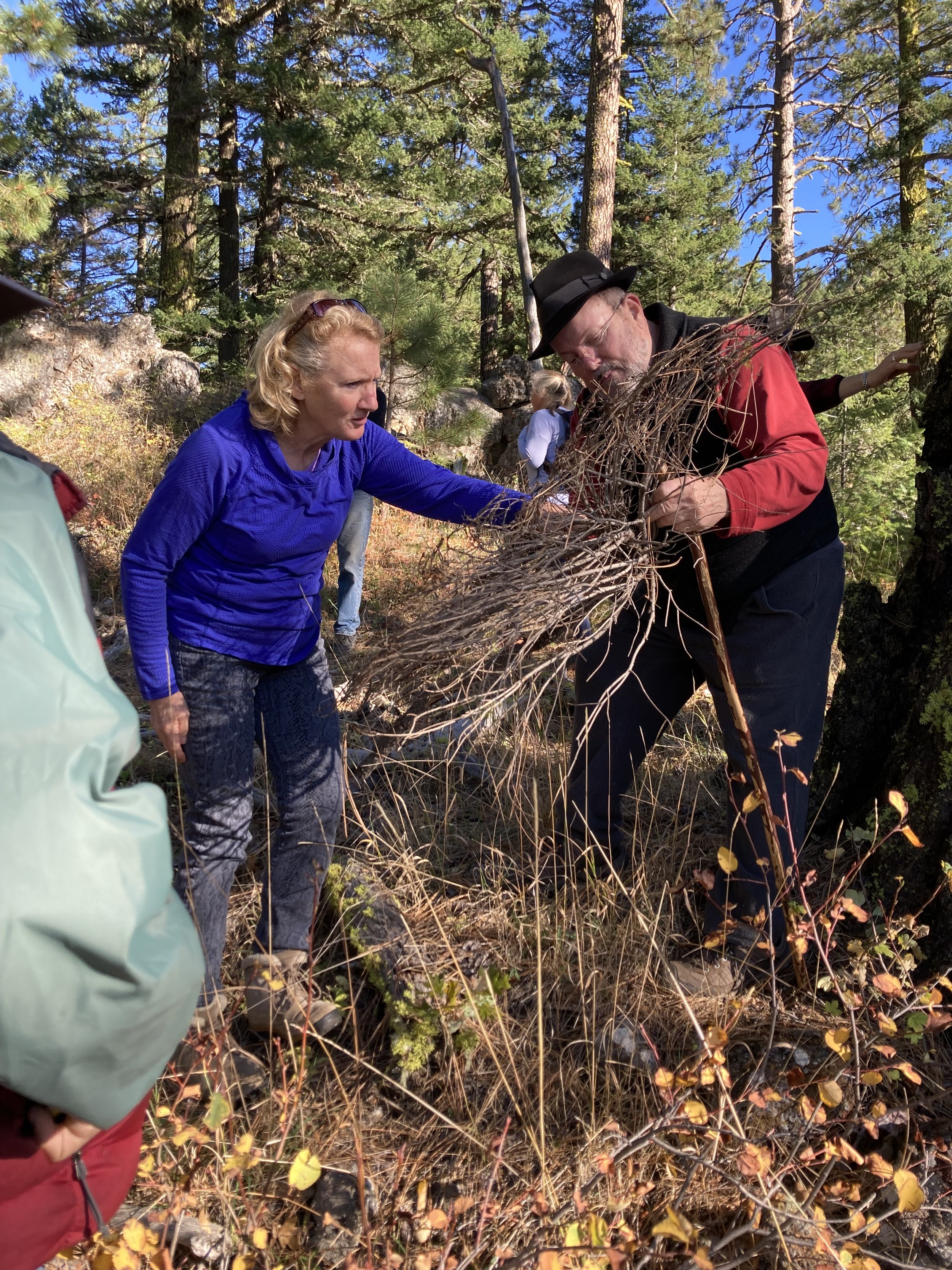   Examining a fallen limb grown into a “Witch’s Broom” due to a parasitic mistletoe  