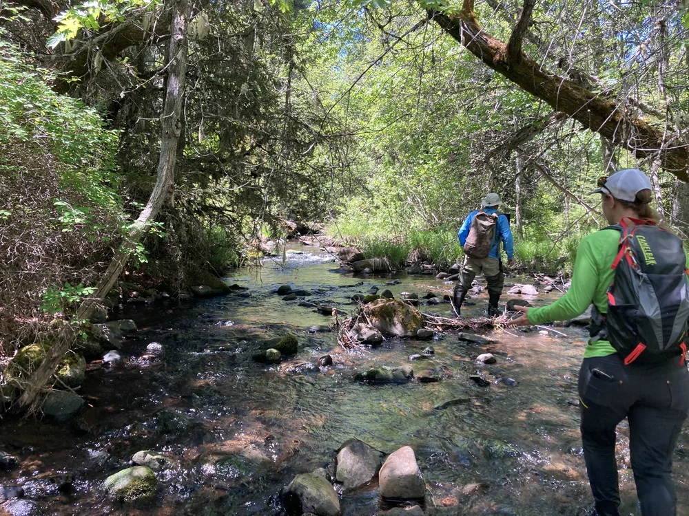  Photo by Marni Koopman 