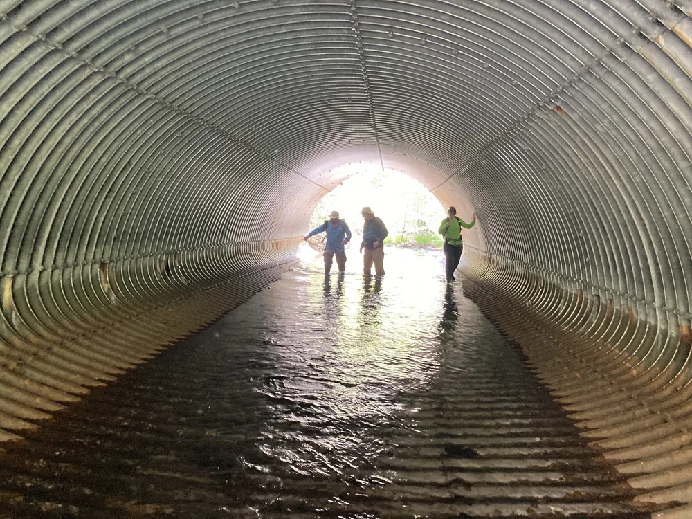  Photo by Marni Koopman 